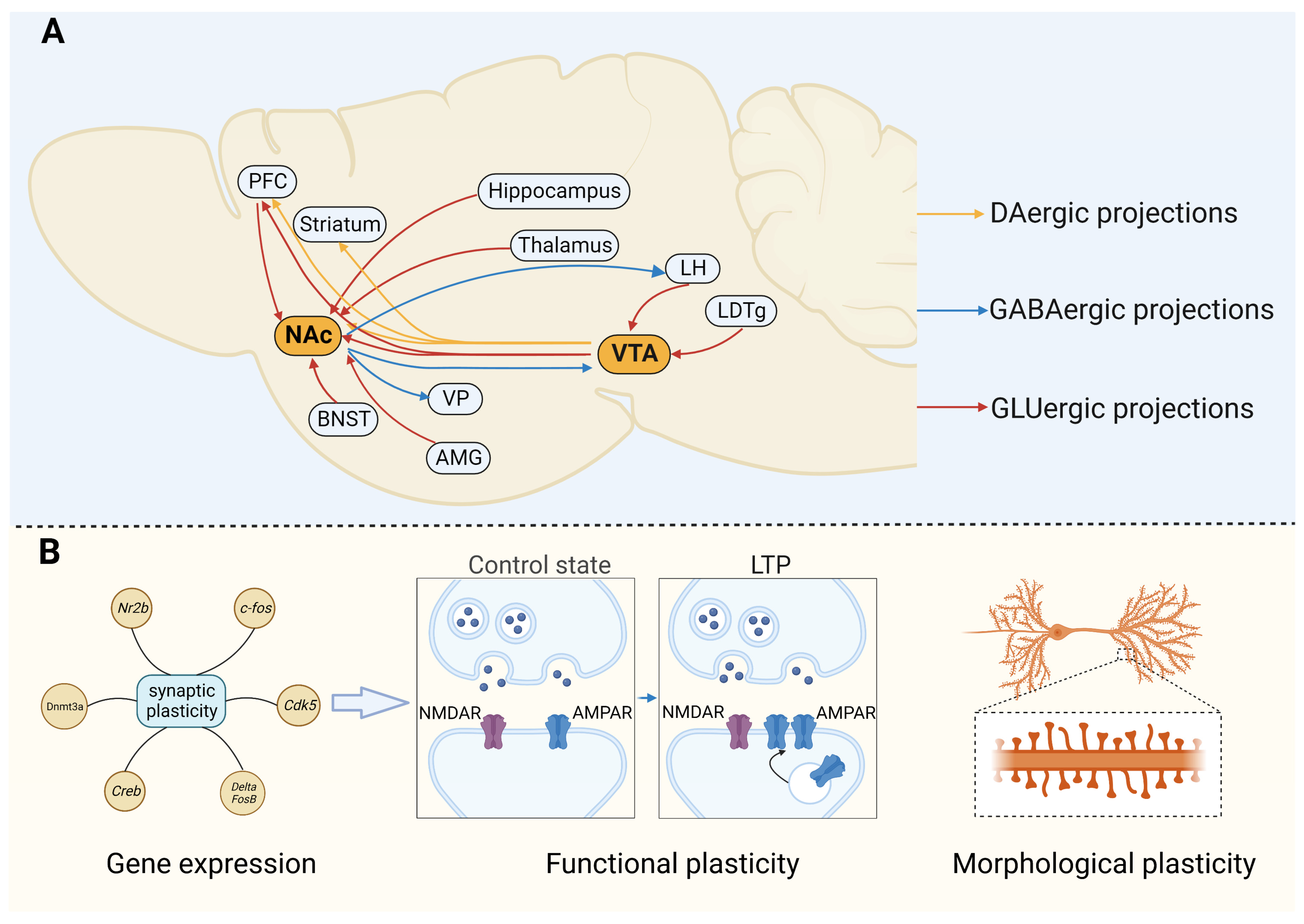 Brainsci 13 01259 g001