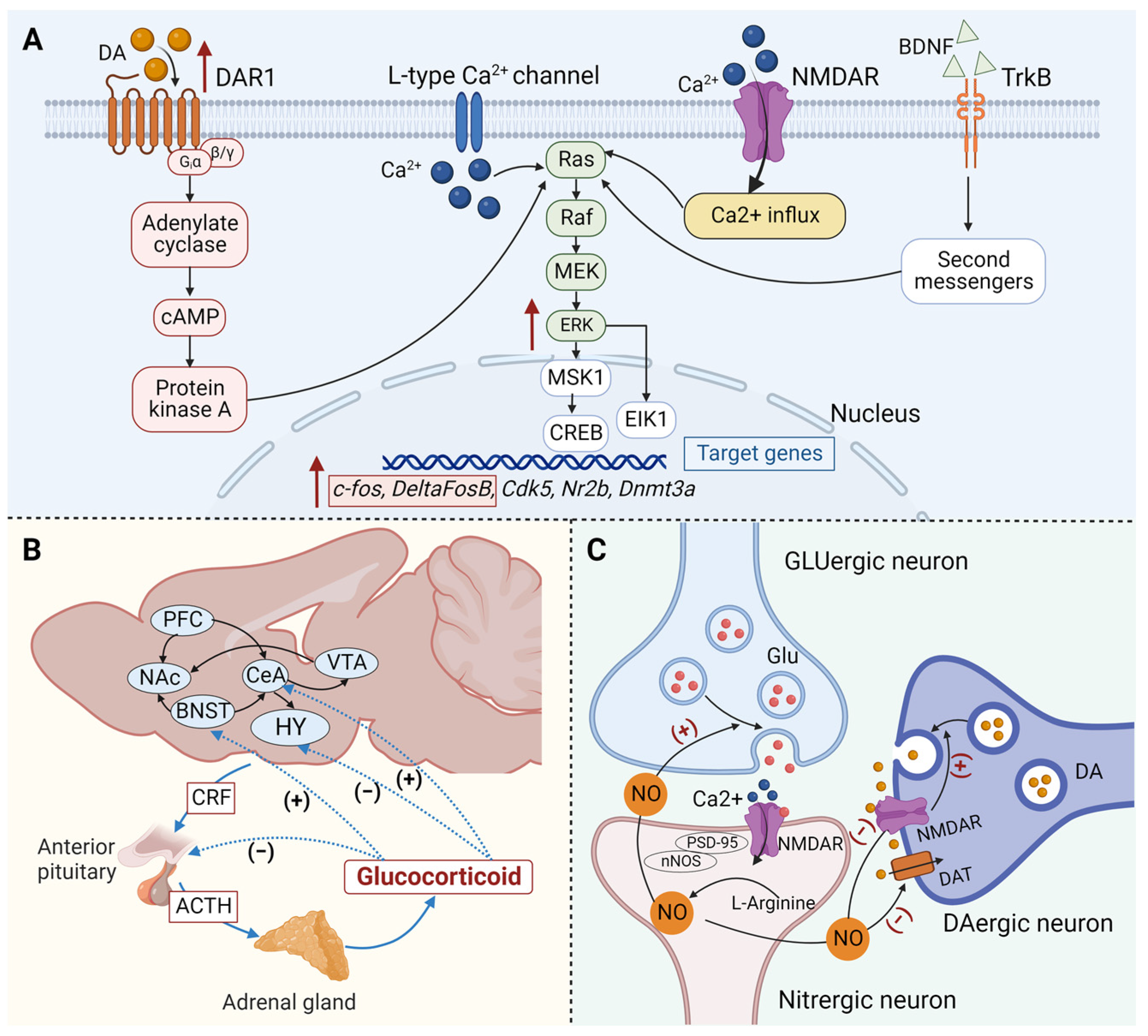 Brainsci 13 01259 g002