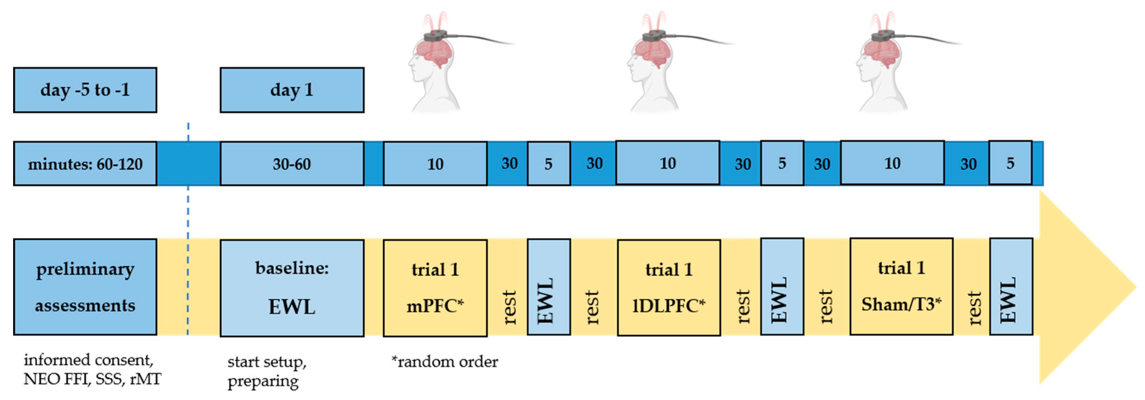 Brainsci 13 01265 g001