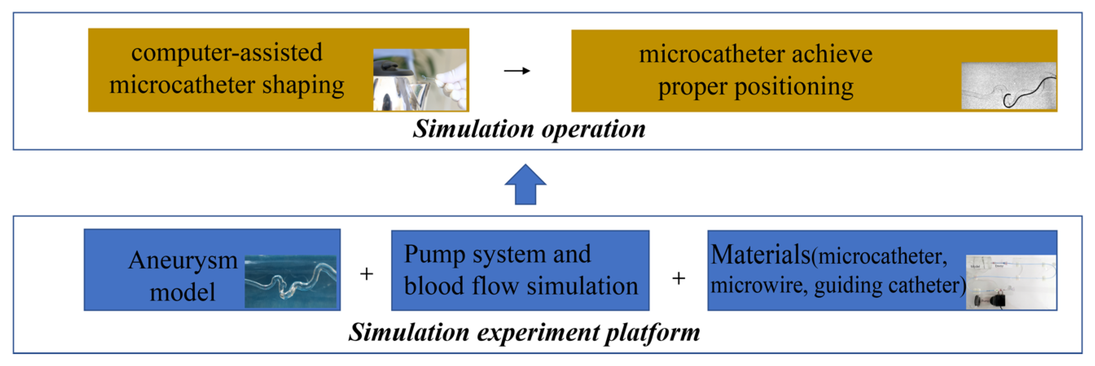 Brainsci 13 01273 g003