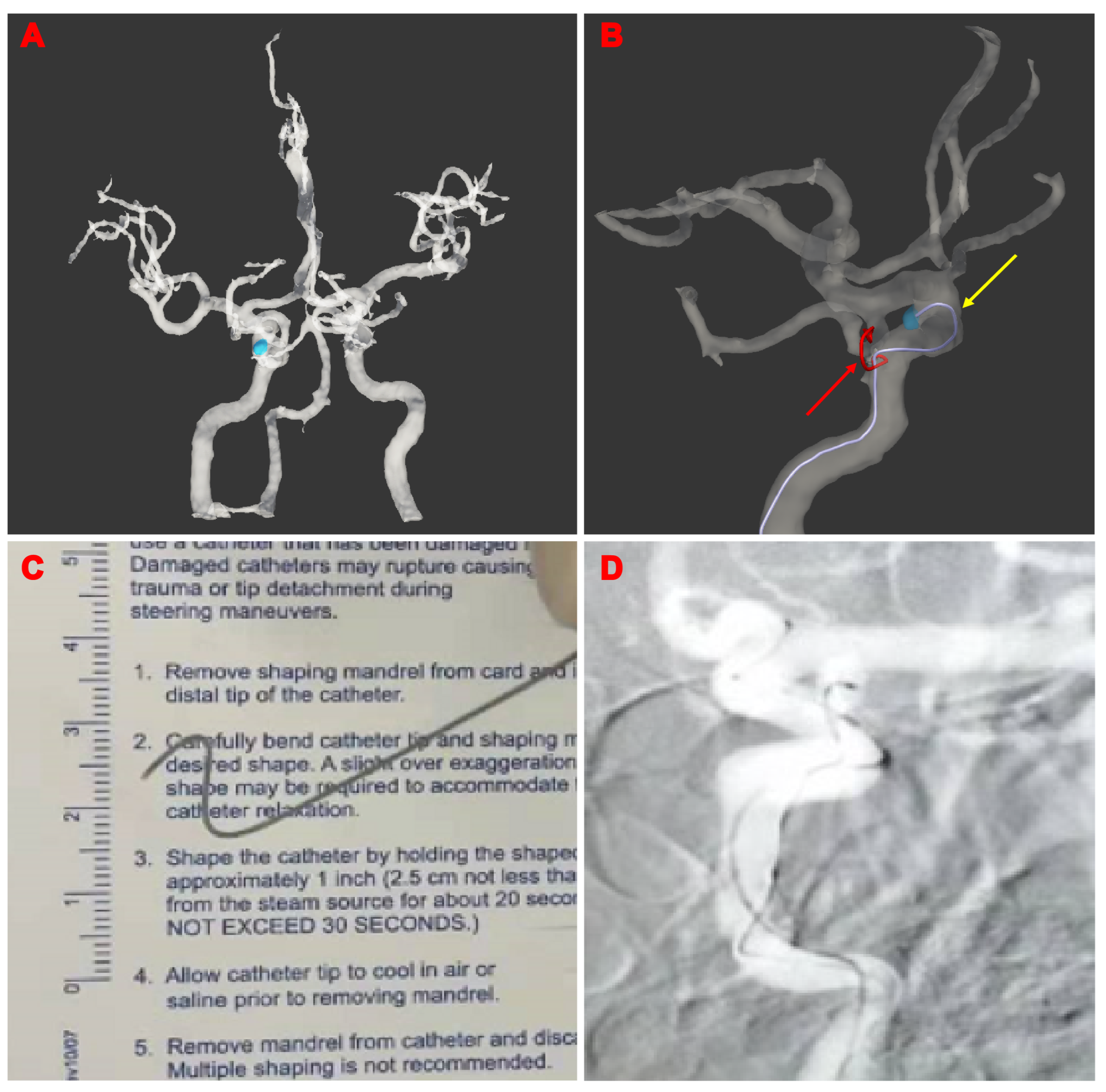 Brainsci 13 01273 g004