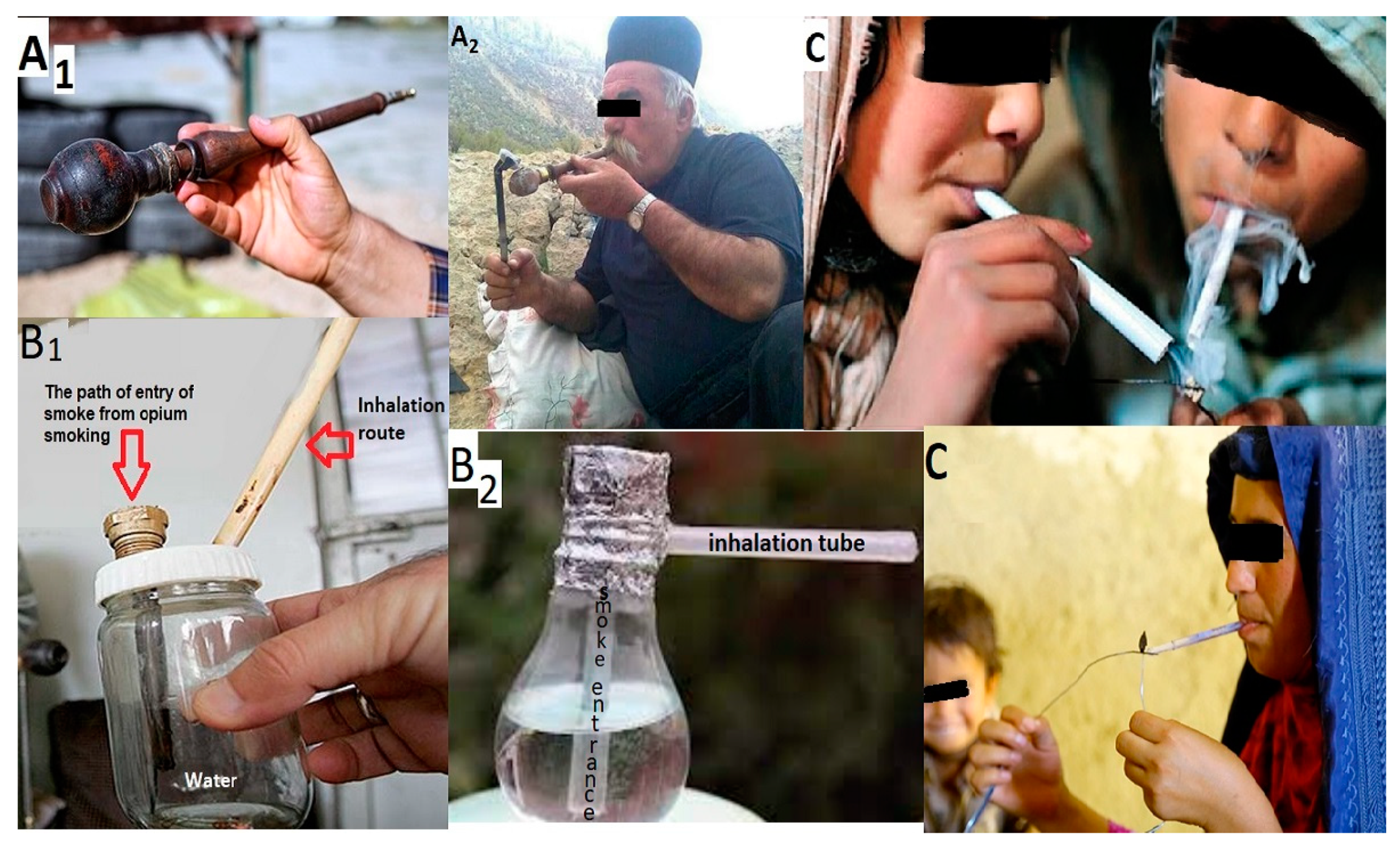 Brainsci 13 01281 g001