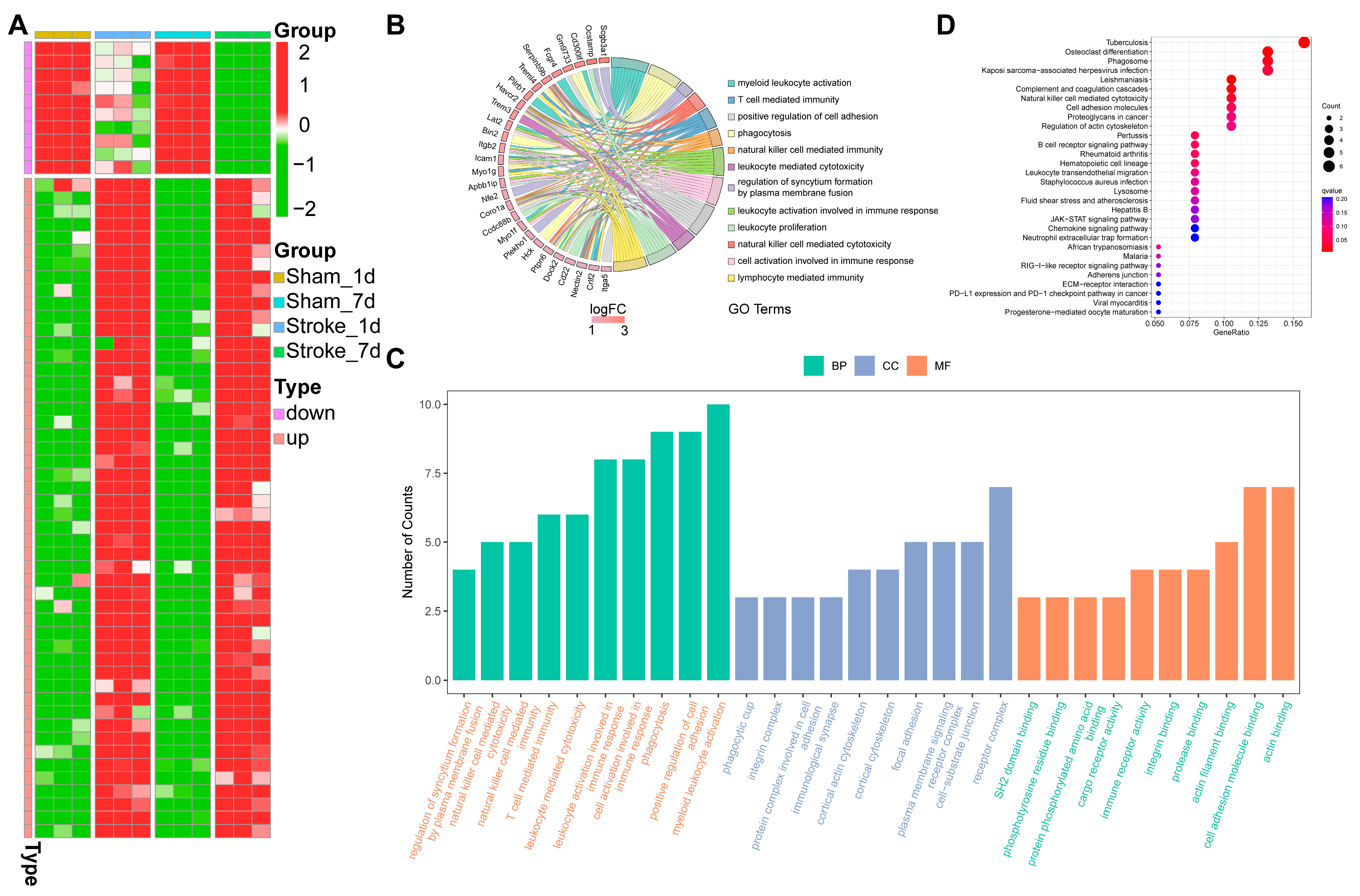 Brainsci 13 01283 g002