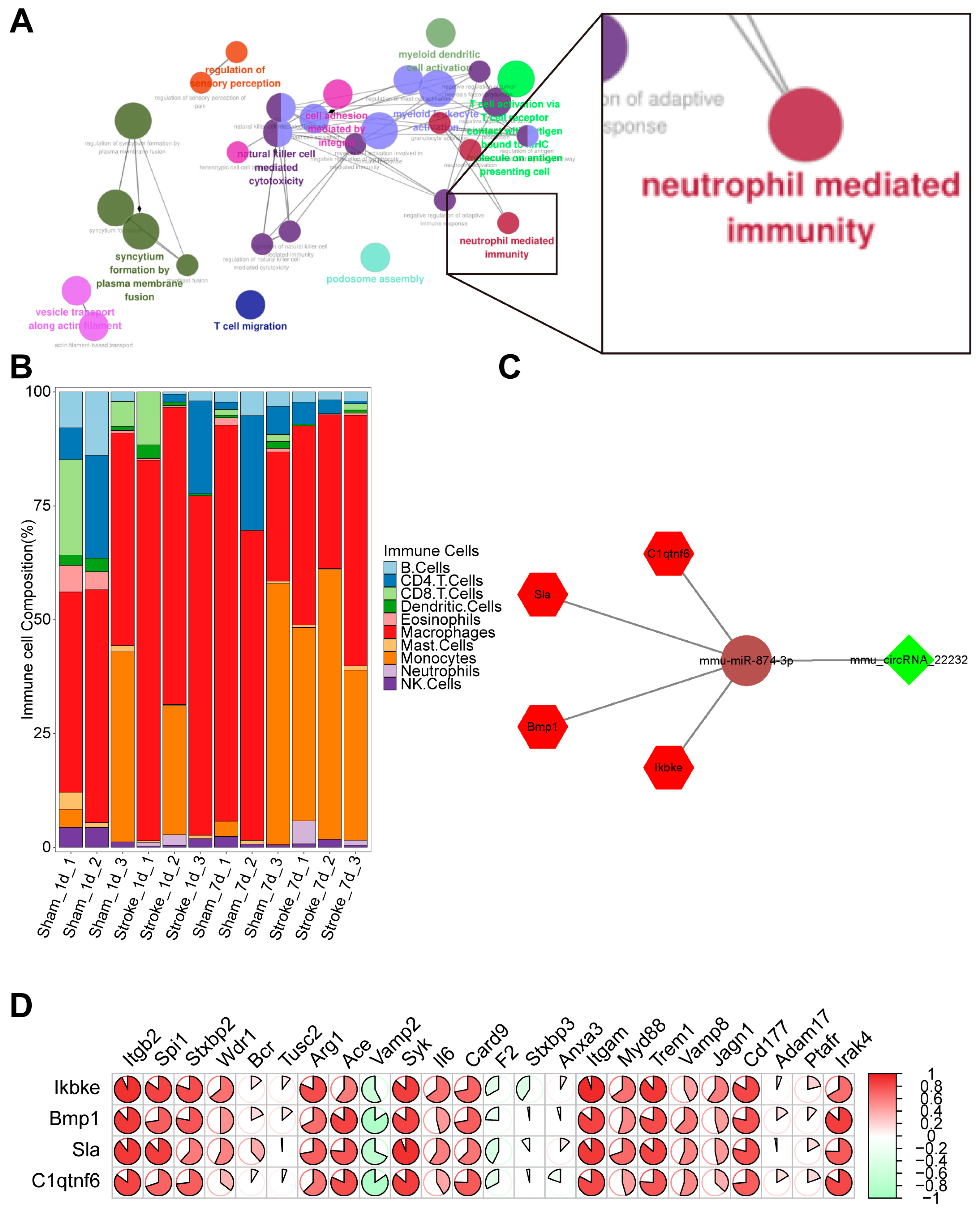 Brainsci 13 01283 g003