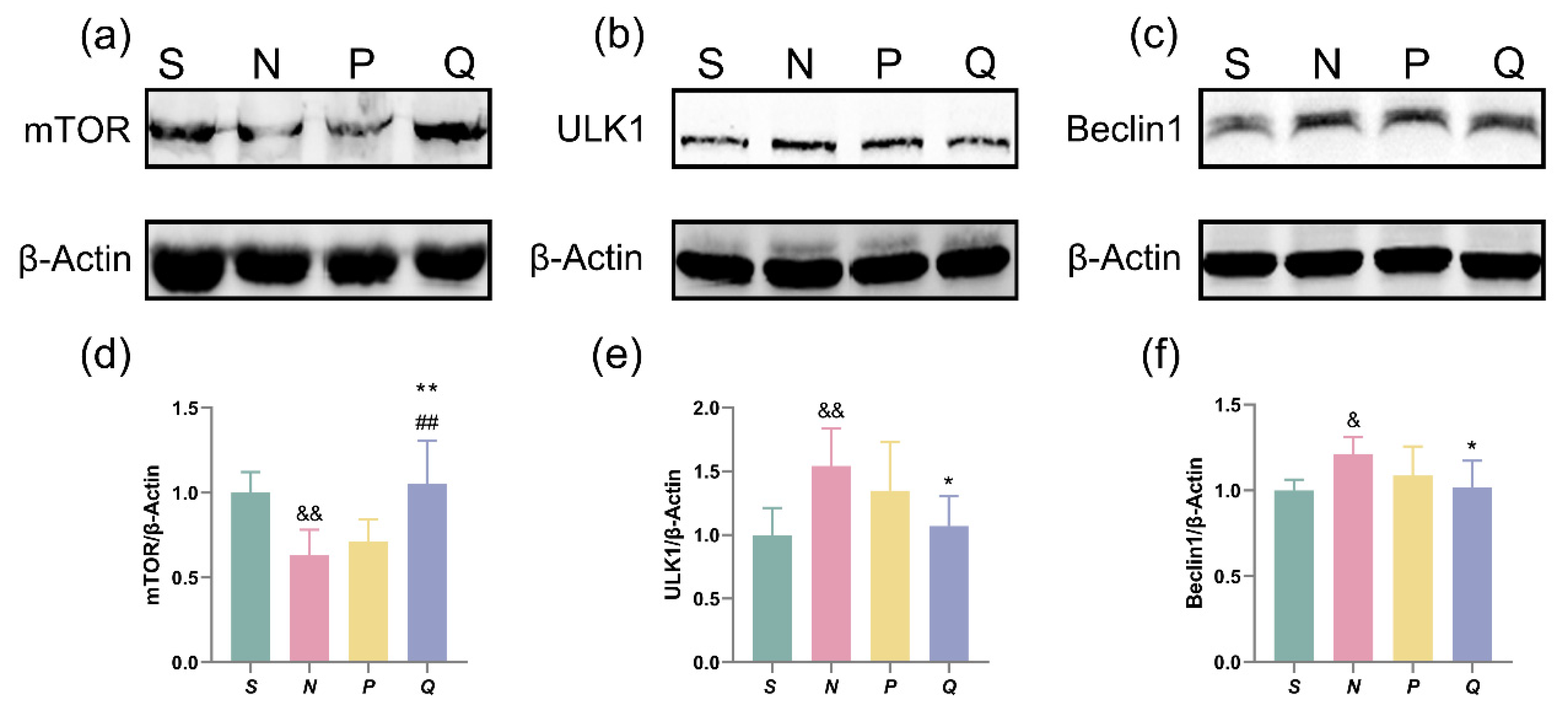 Brainsci 13 01285 g007