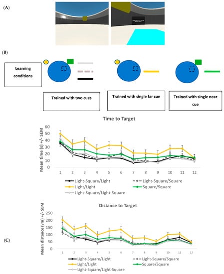 Brainsci 13 01287 g002