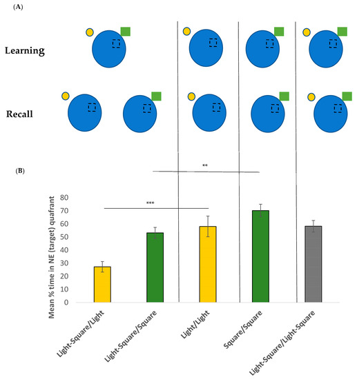 Brainsci 13 01287 g003