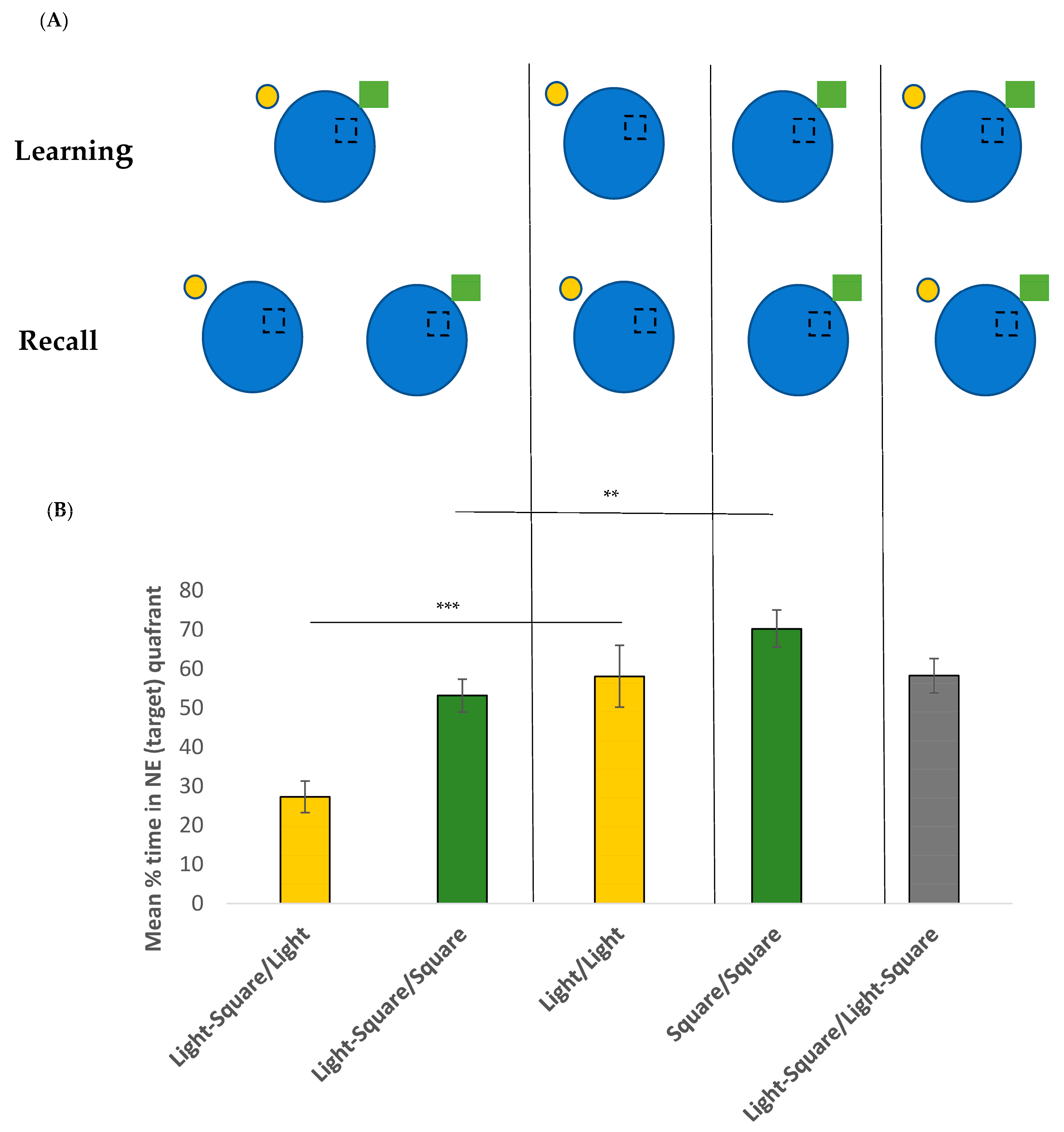 Brainsci 13 01287 g003
