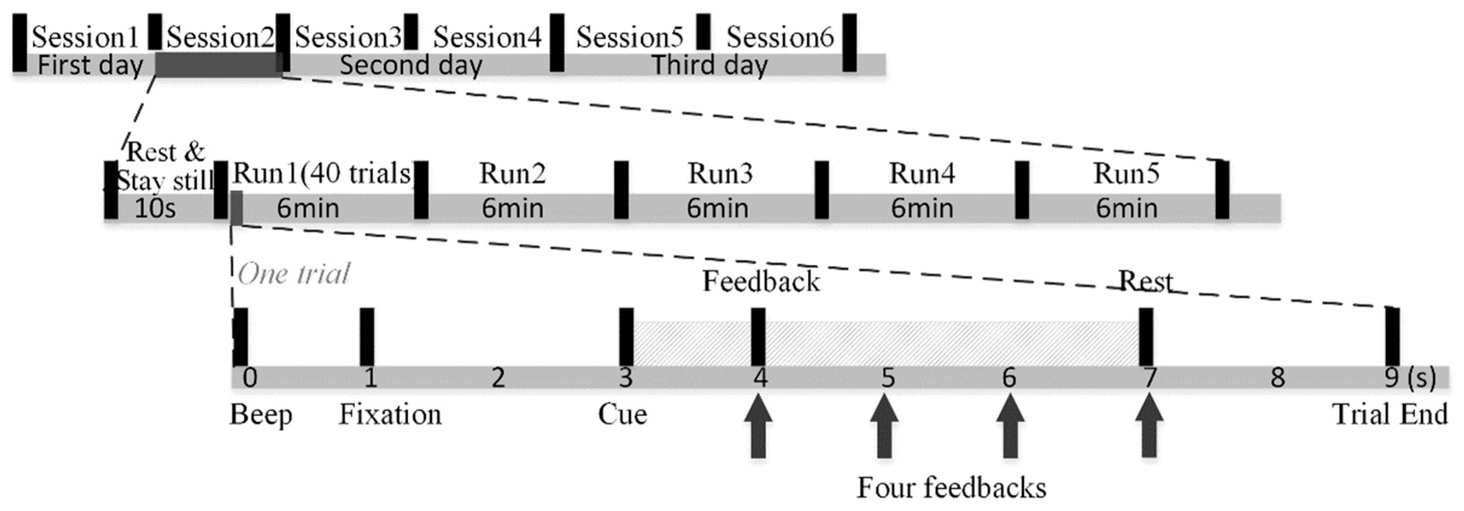 Brainsci 13 01288 g002