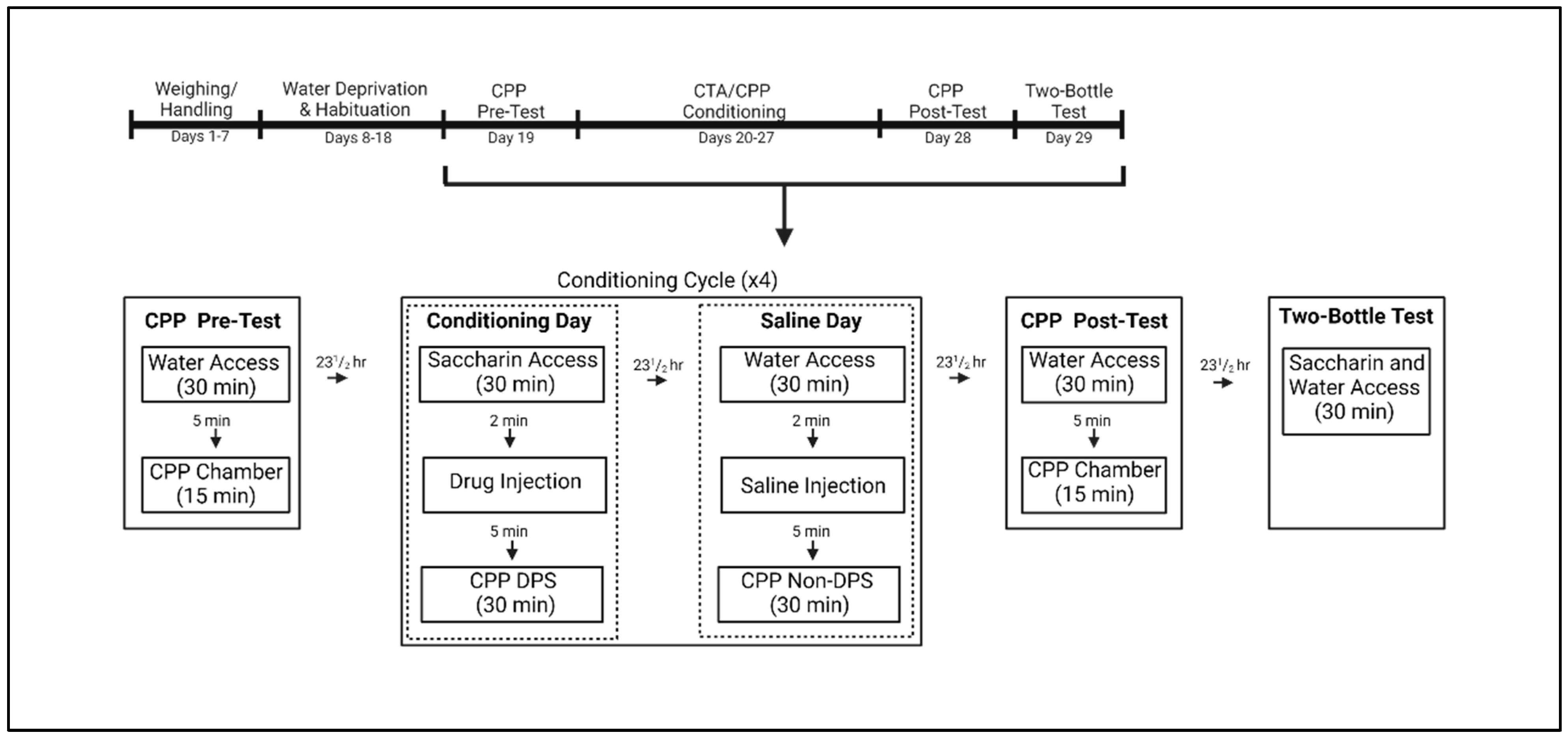 Brainsci 13 01294 g001