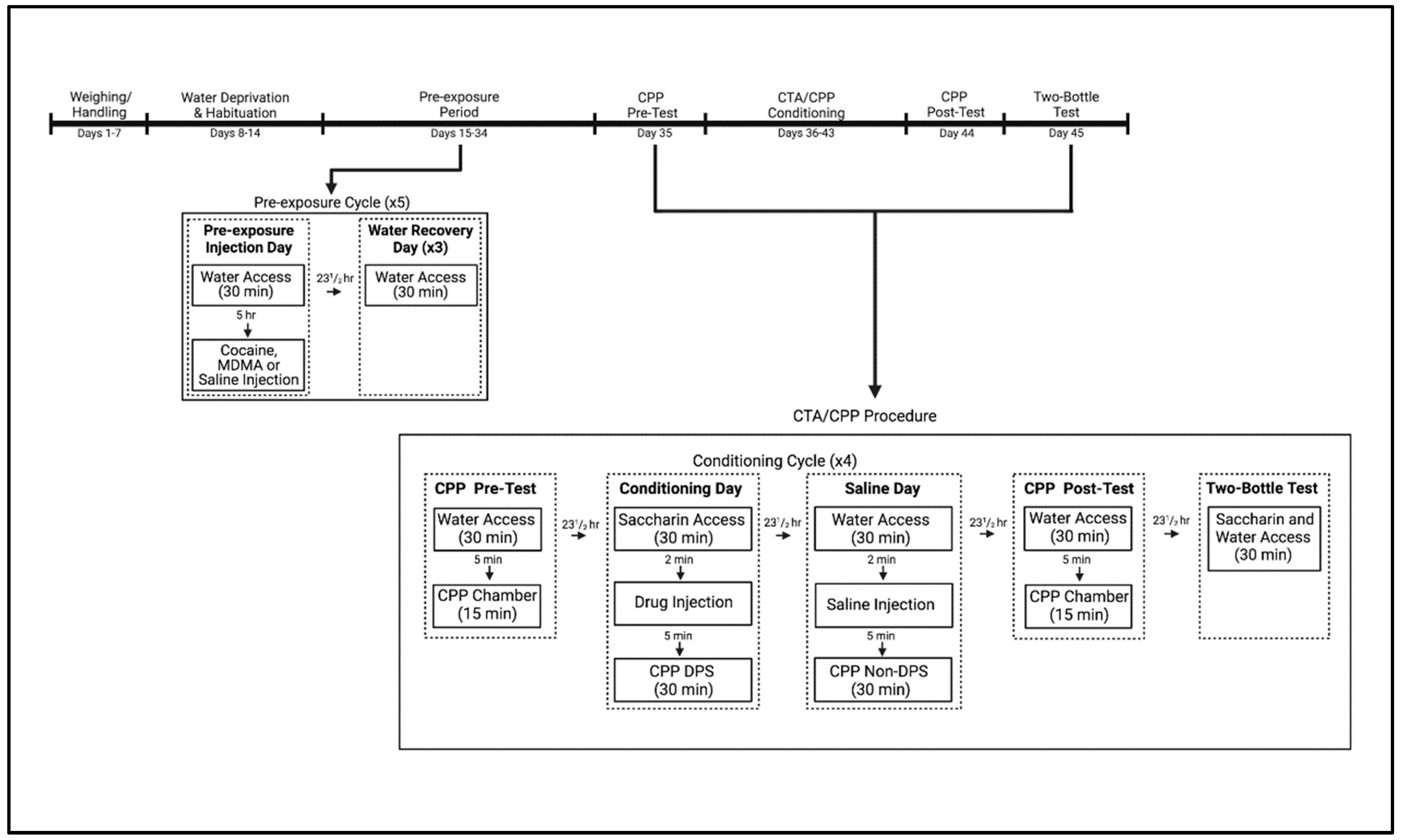 Brainsci 13 01294 g004