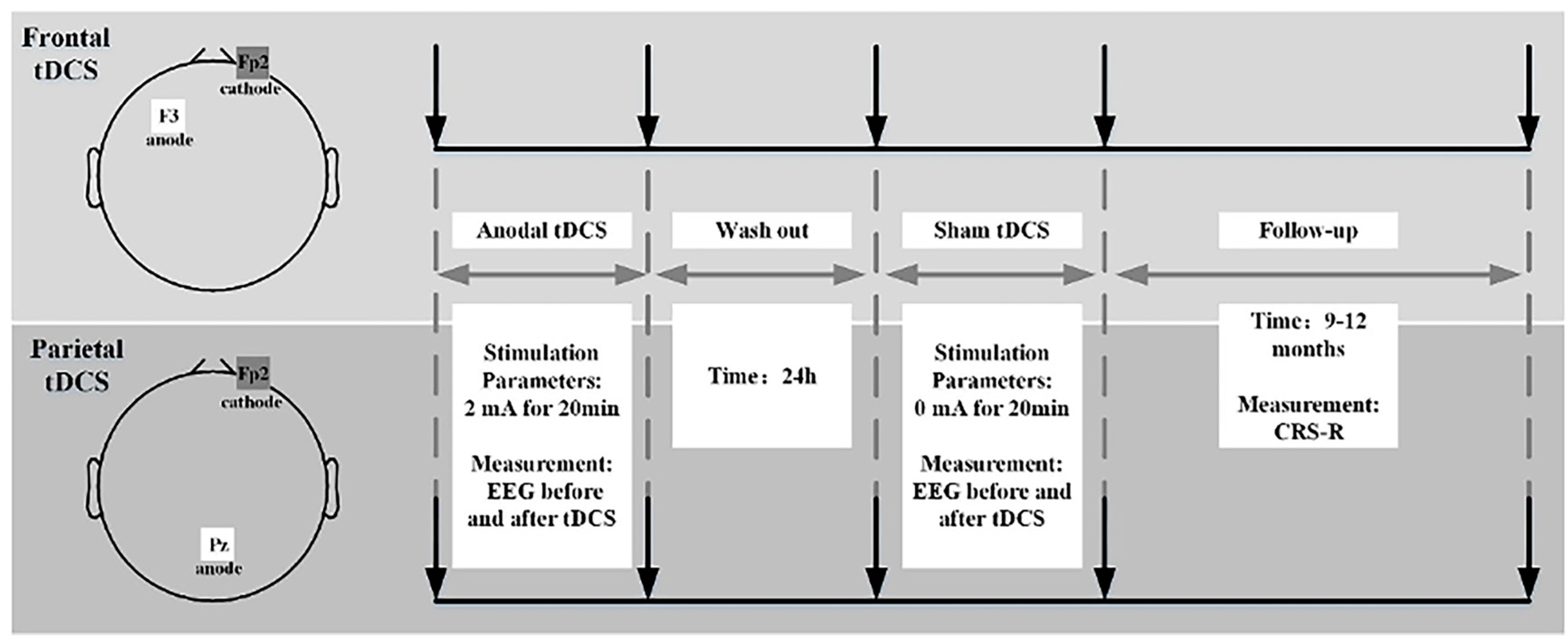 Brainsci 13 01295 g001