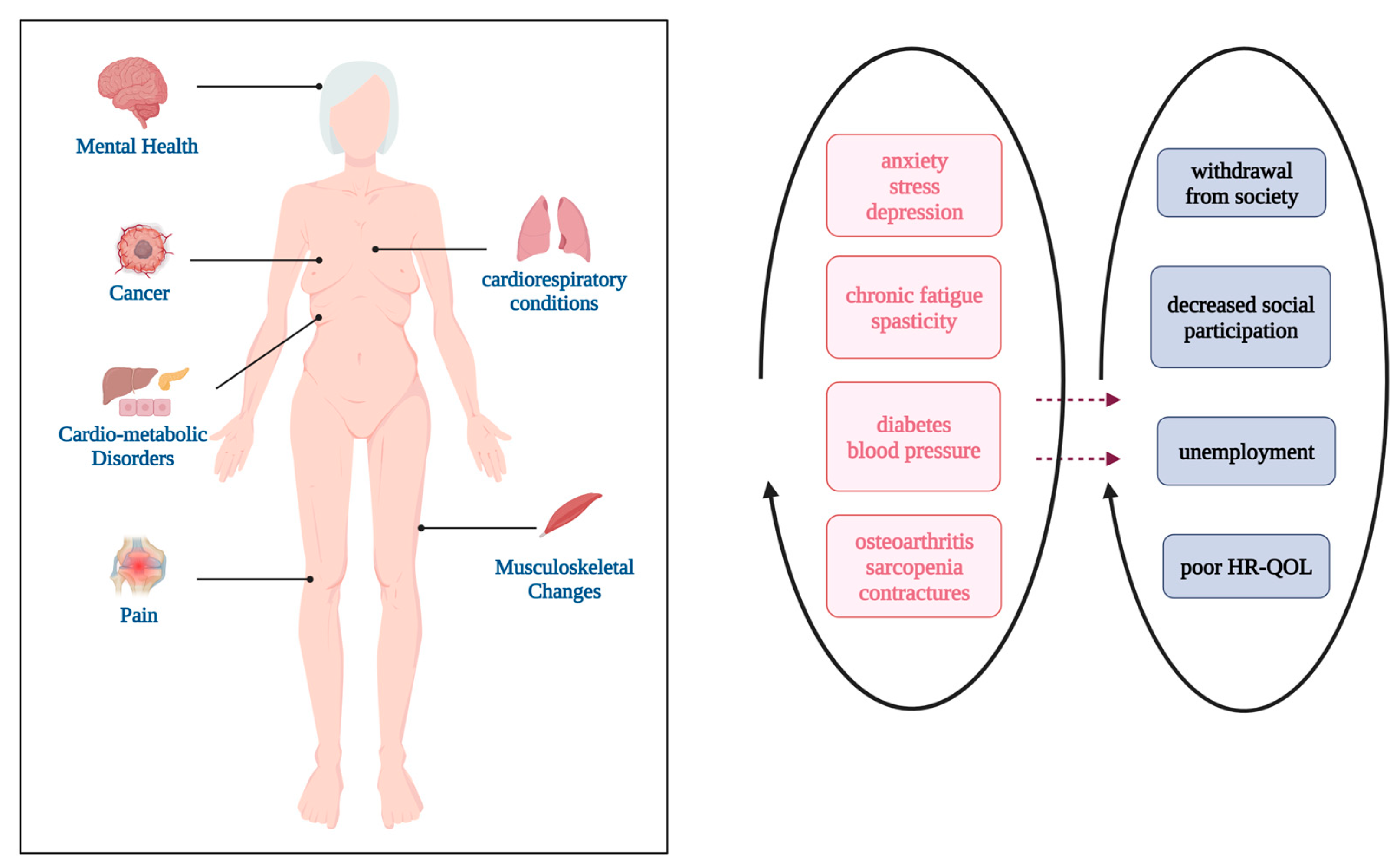 Brainsci 13 01296 g001