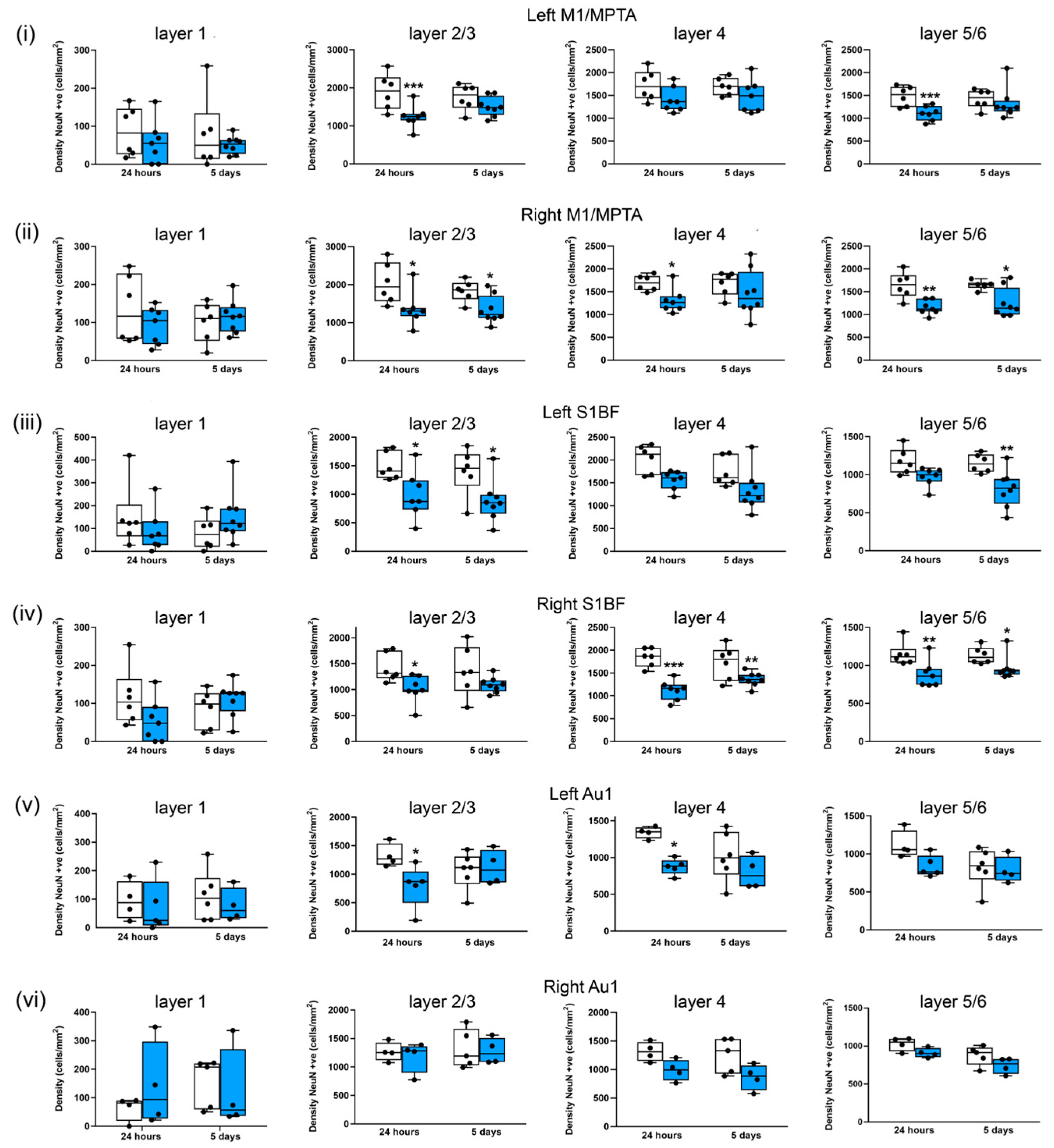 Brainsci 13 01298 g008