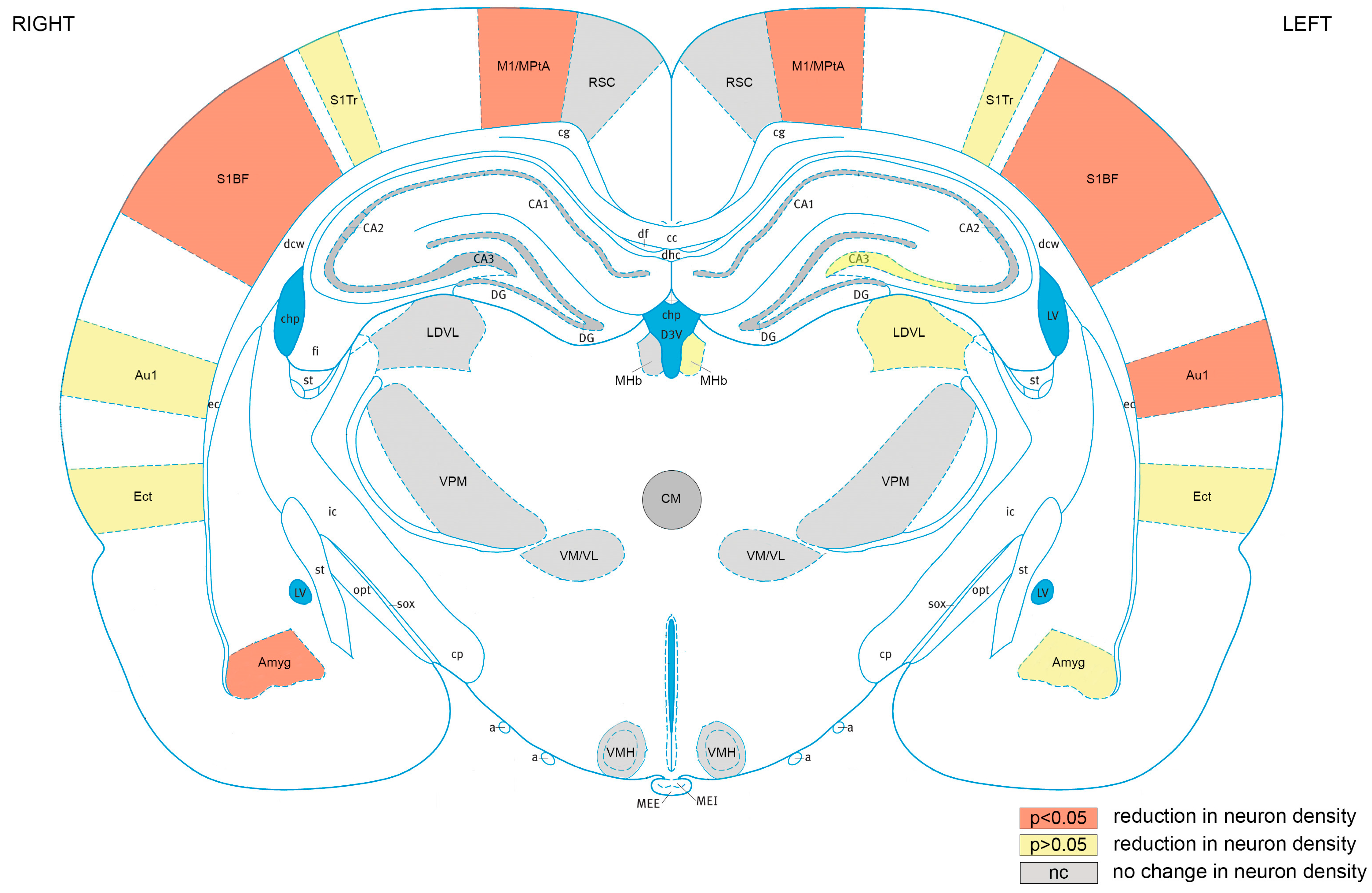 Brainsci 13 01298 g010