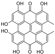Brainsci 13 01299 i004