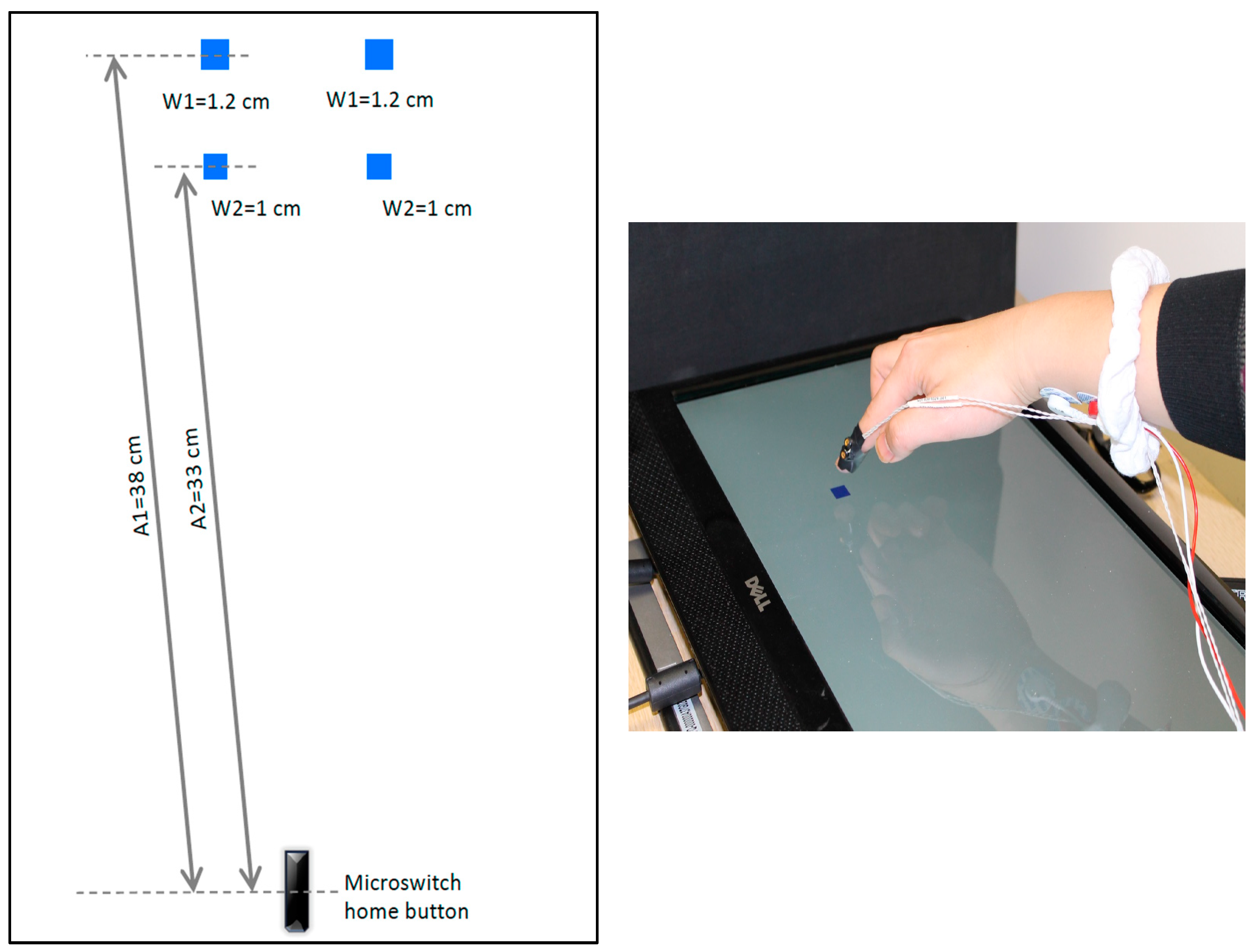 Brainsci 13 01302 g001