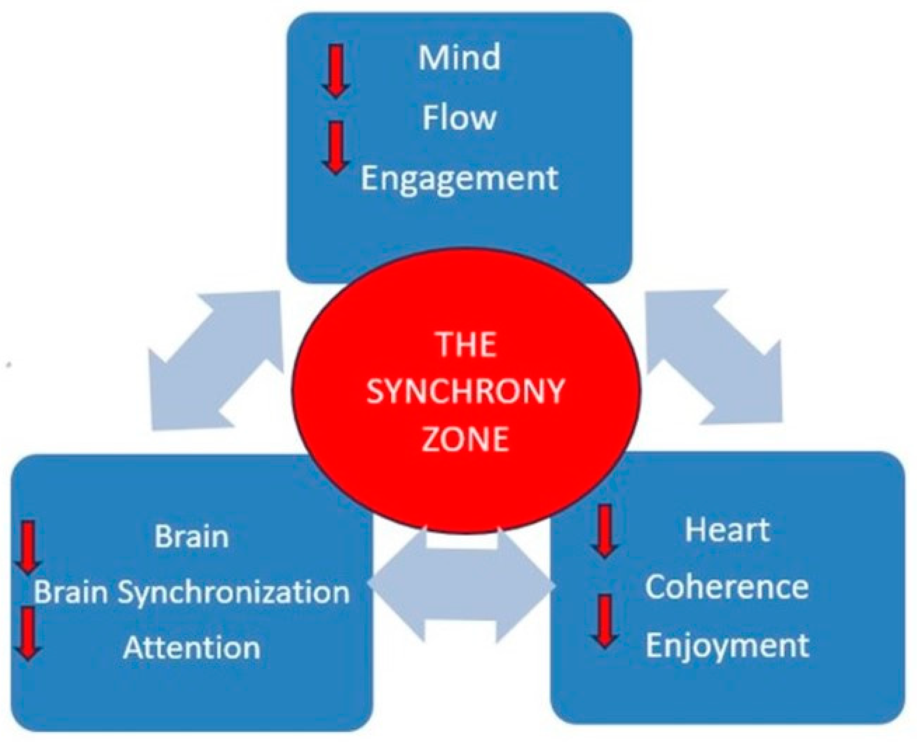 Brainsci 13 01314 g001