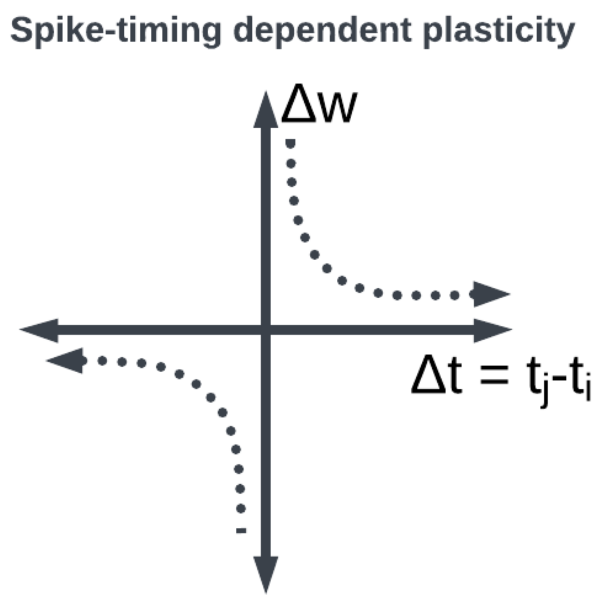 Brainsci 13 01316 g008
