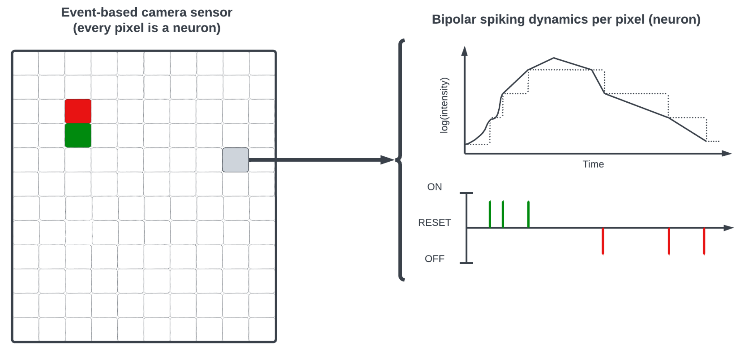 Brainsci 13 01316 g010