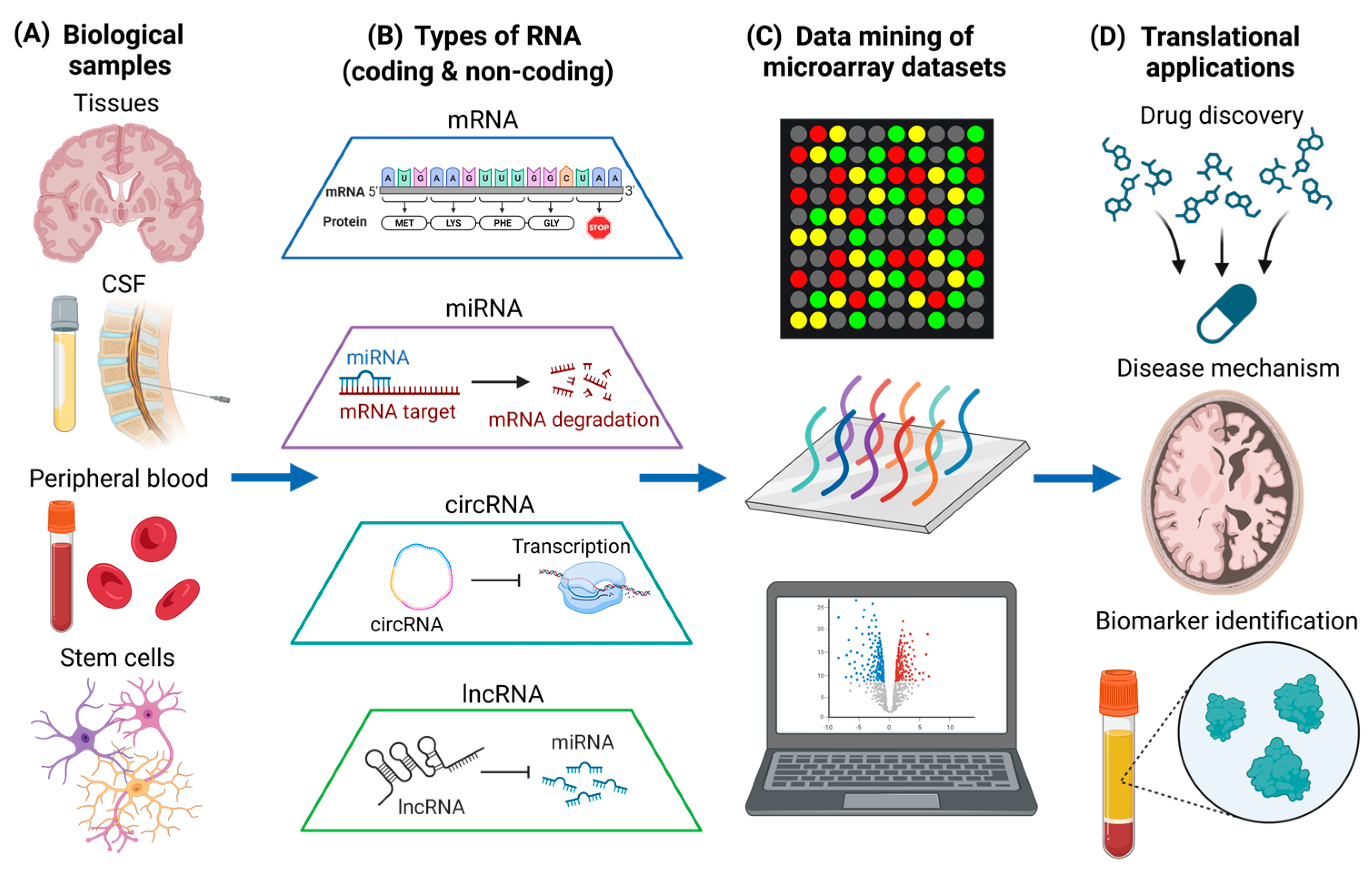Brainsci 13 01318 g001