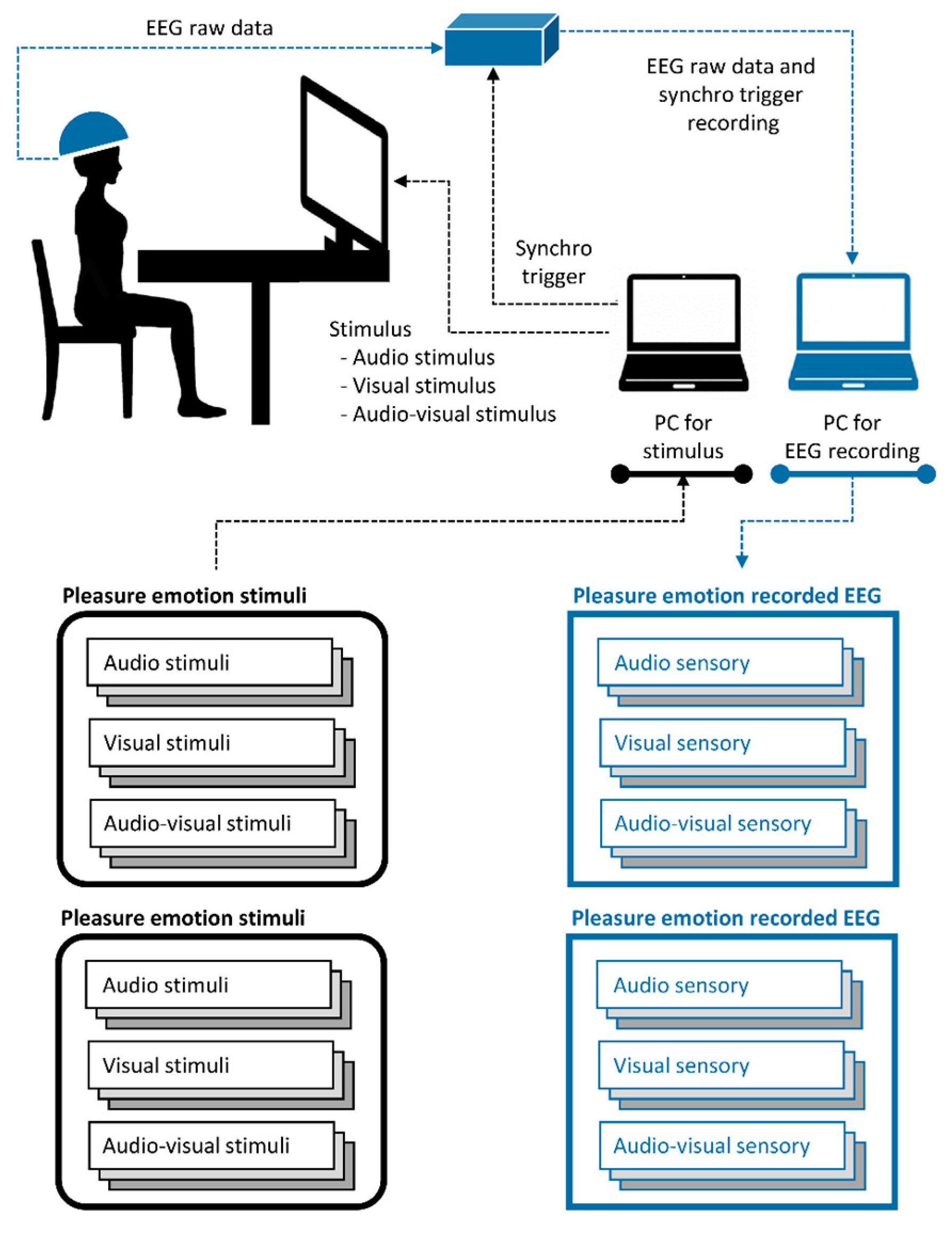 Brainsci 13 01326 g002