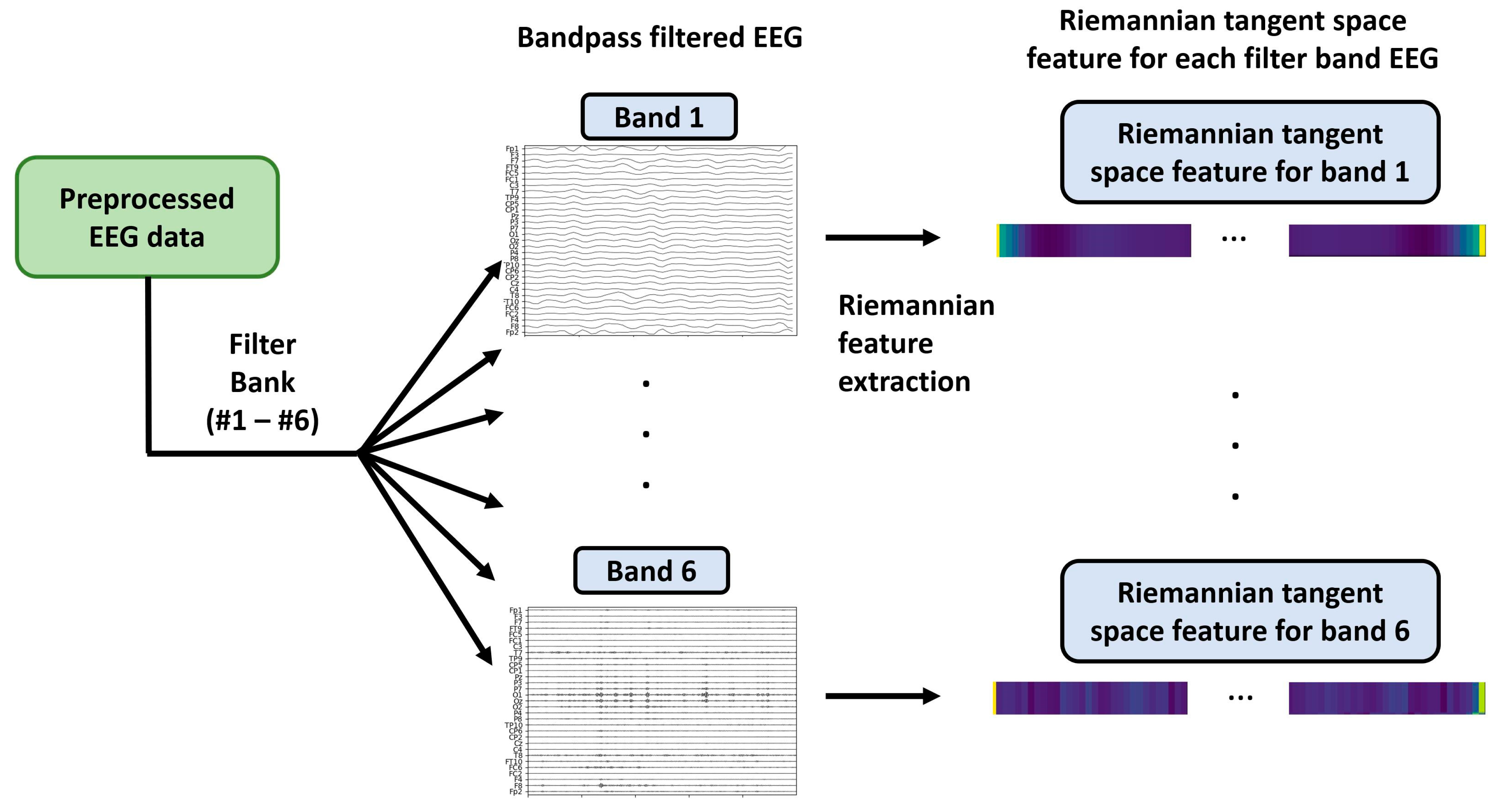 Brainsci 13 01326 g005