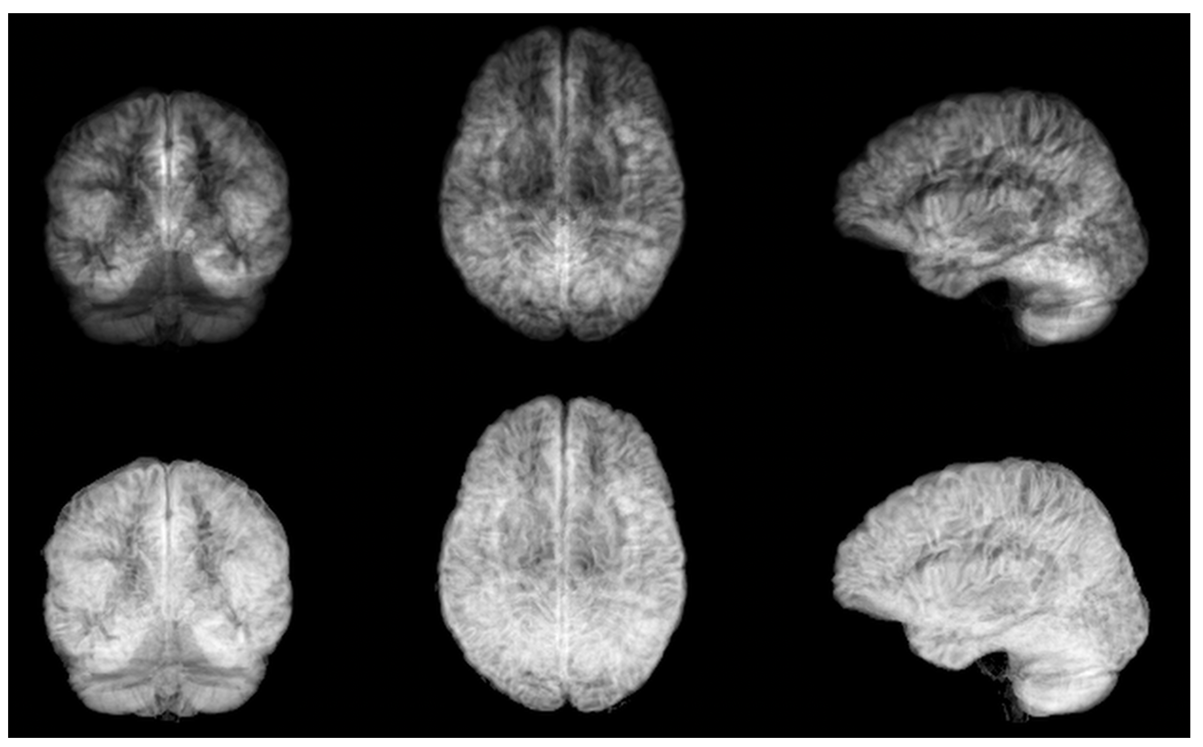 Brainsci 13 01329 g002