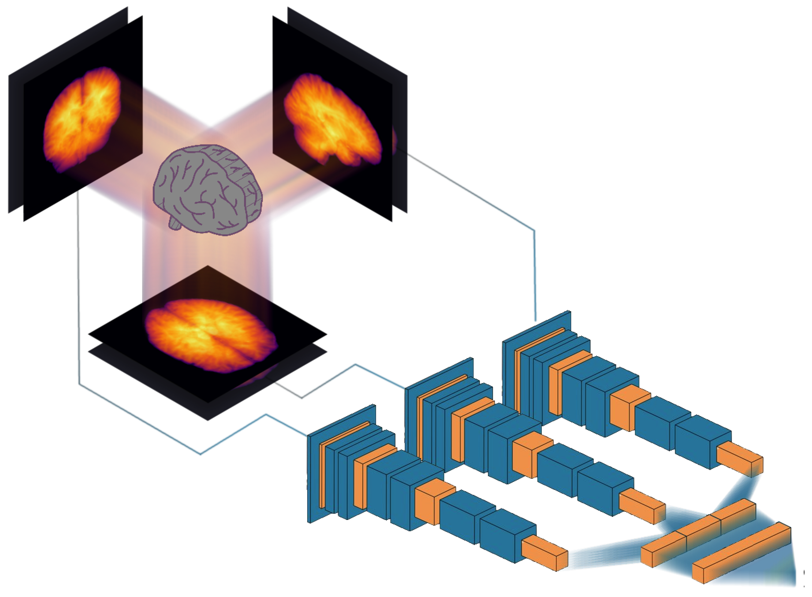 Brainsci 13 01329 g003