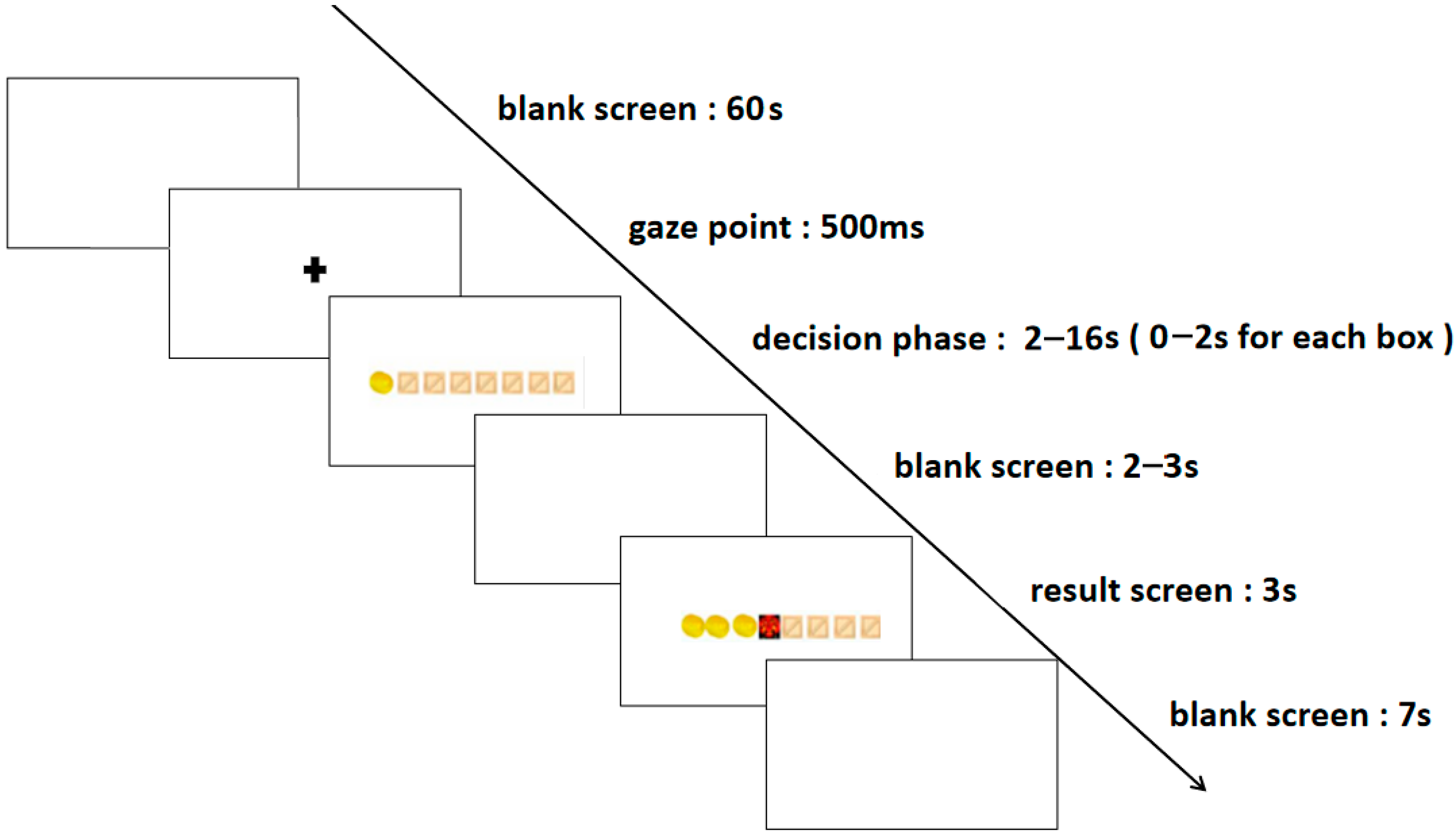 Brainsci 13 01330 g001