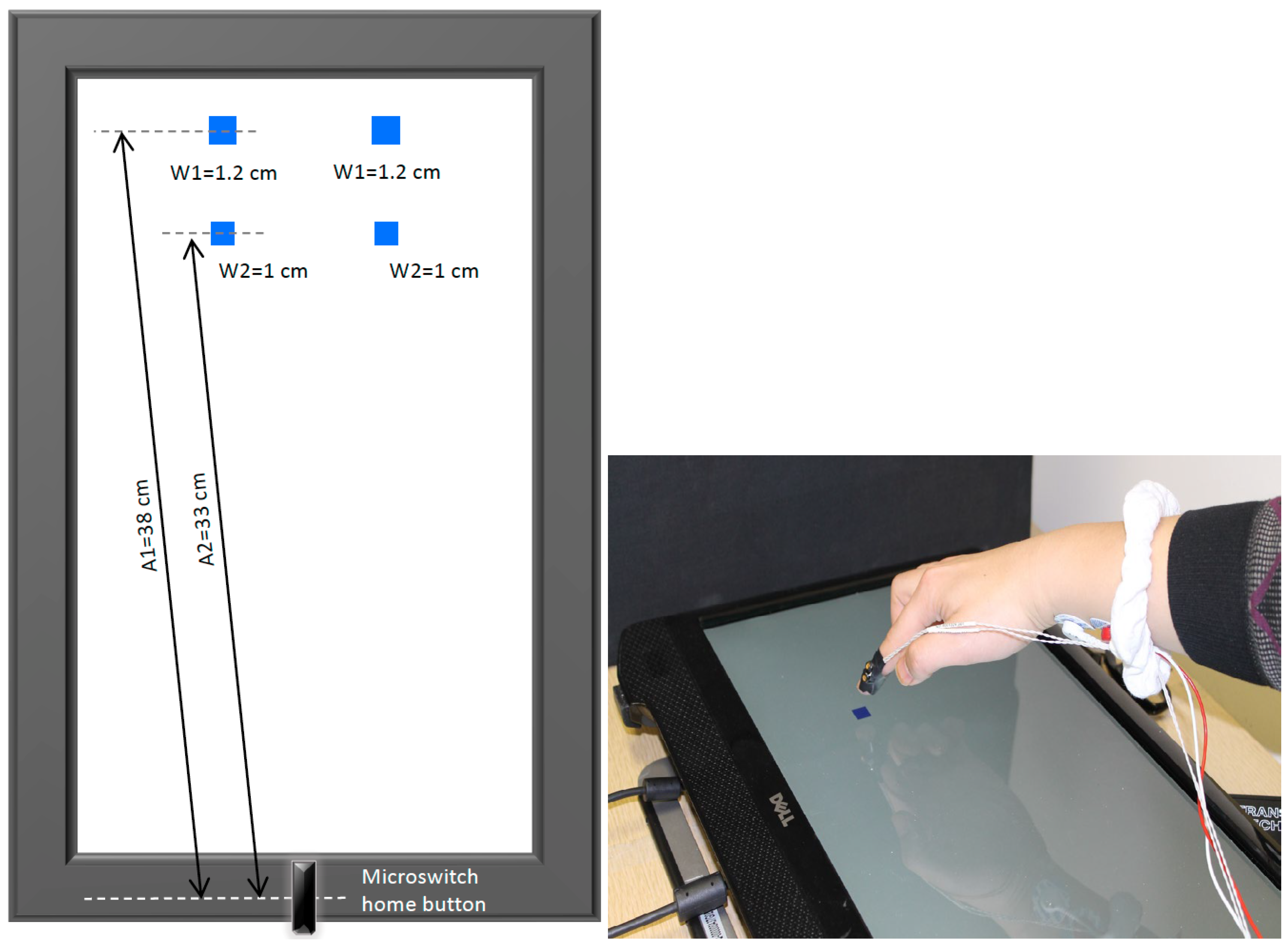 Brainsci 13 01341 g001 Brainsci 13 01341 g001