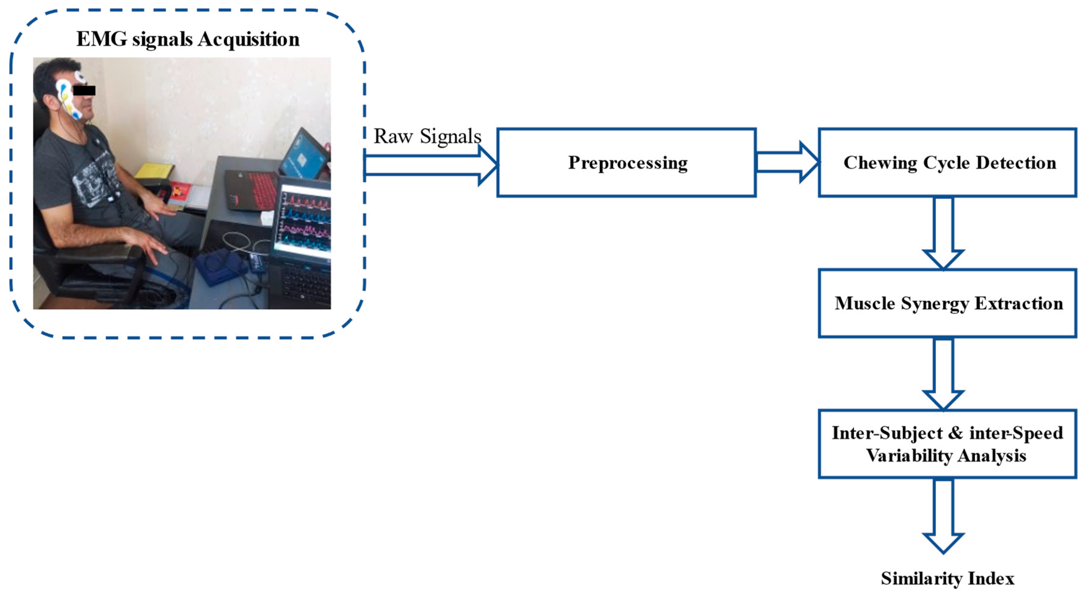 Brainsci 13 01344 g001