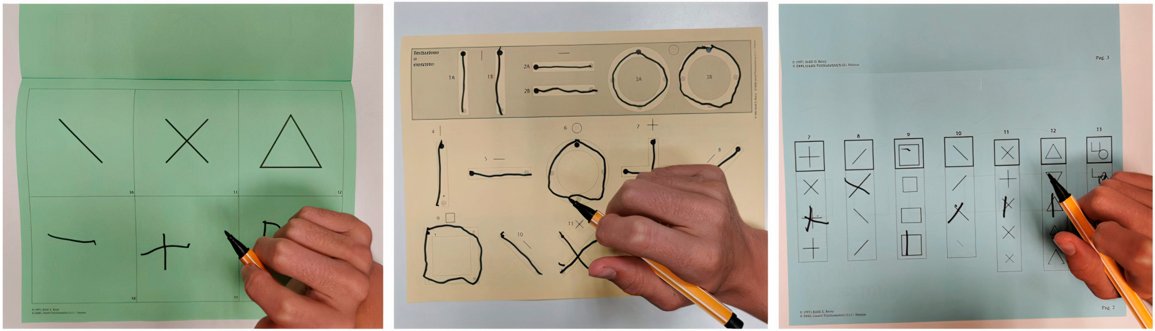 Brainsci 13 01348 g002