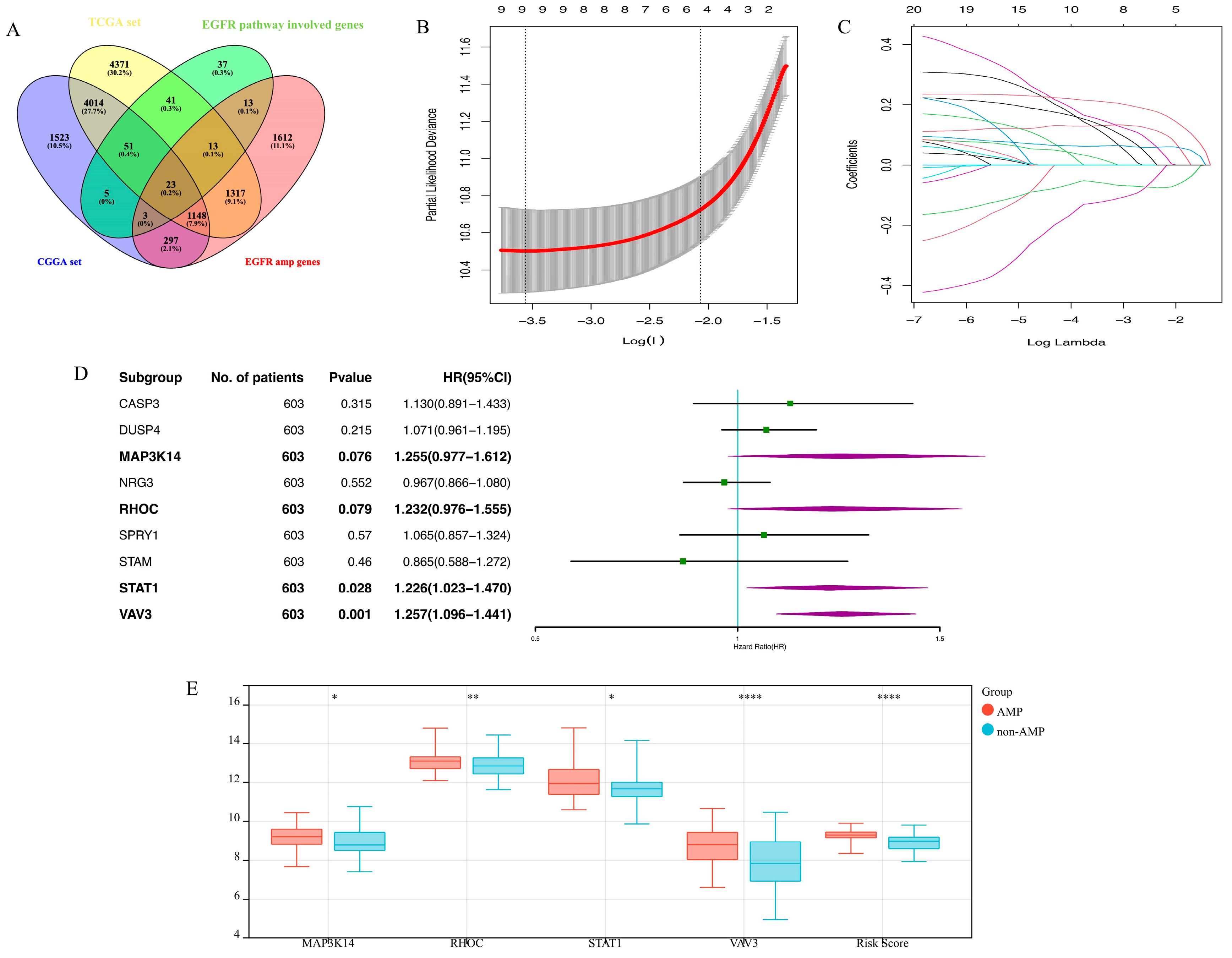 Brainsci 13 01349 g001