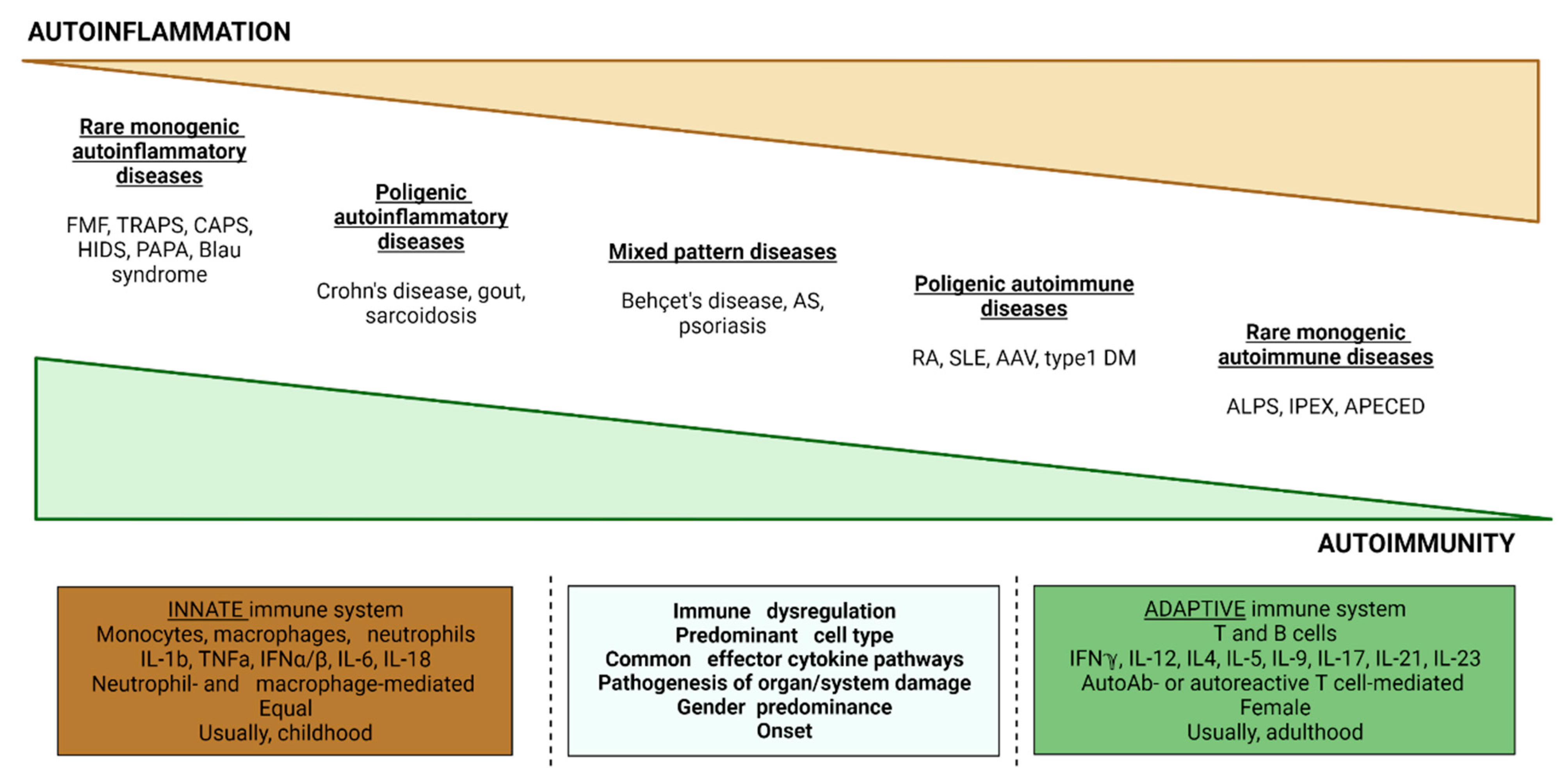 Brainsci 13 01351 g001