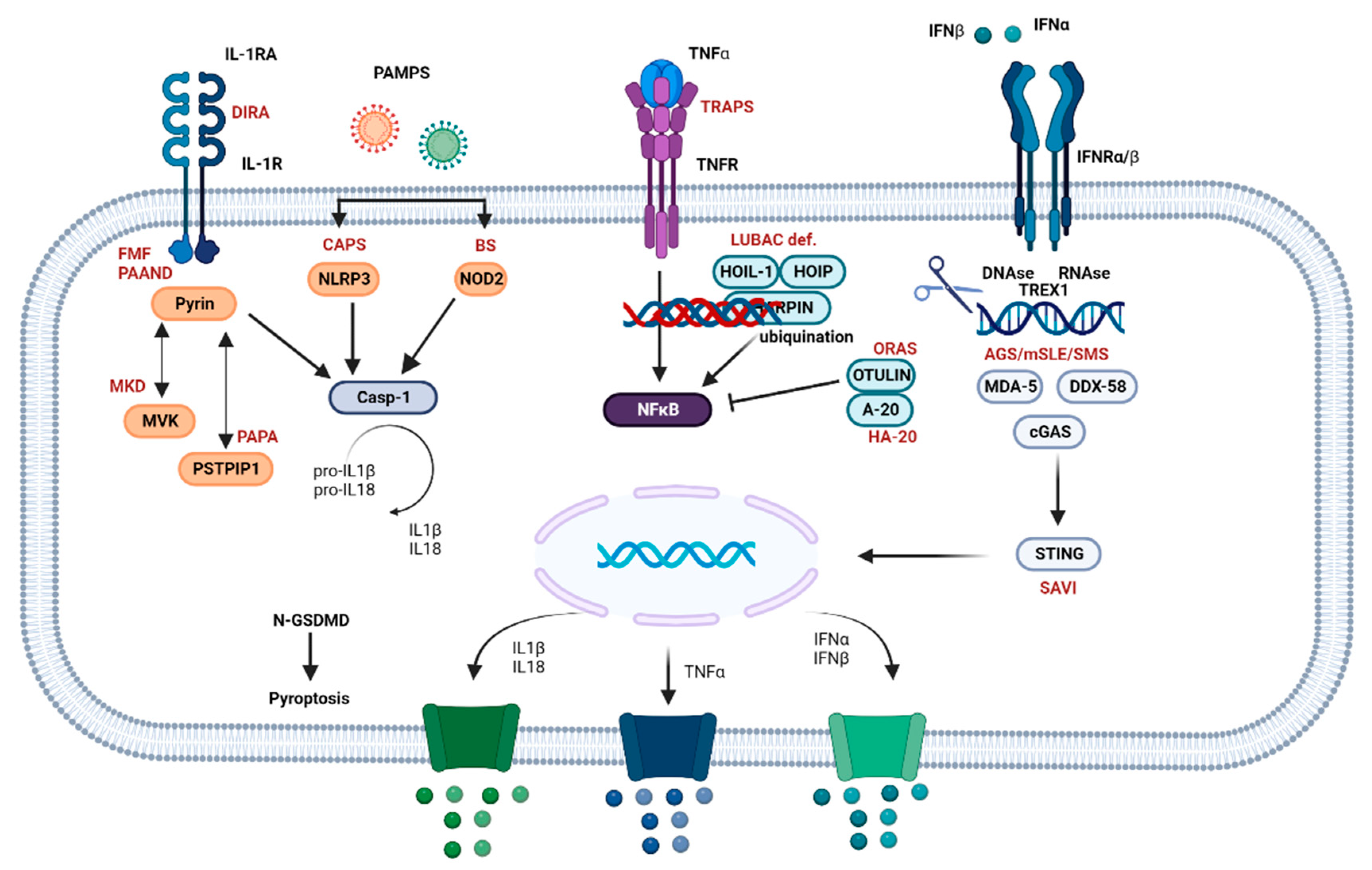 Brainsci 13 01351 g002
