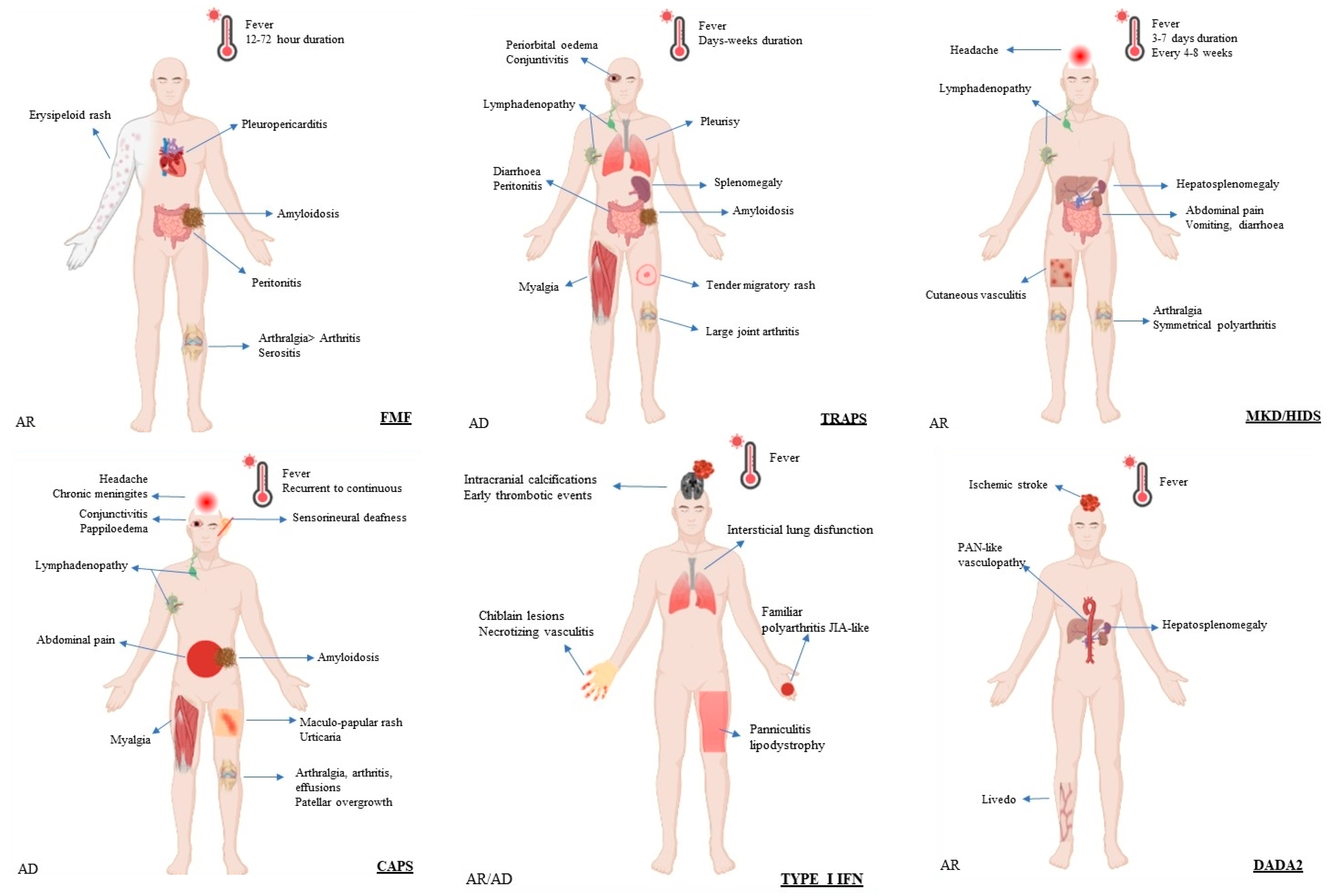 Brainsci 13 01351 g003a