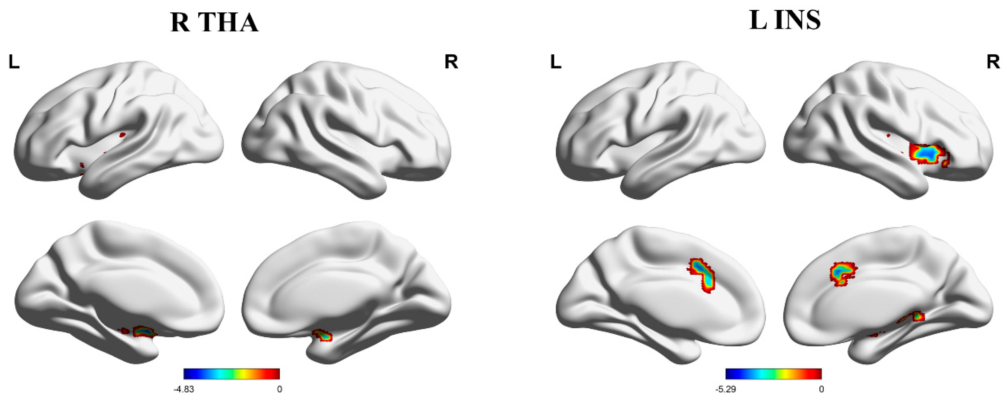 Brainsci 13 01357 g001