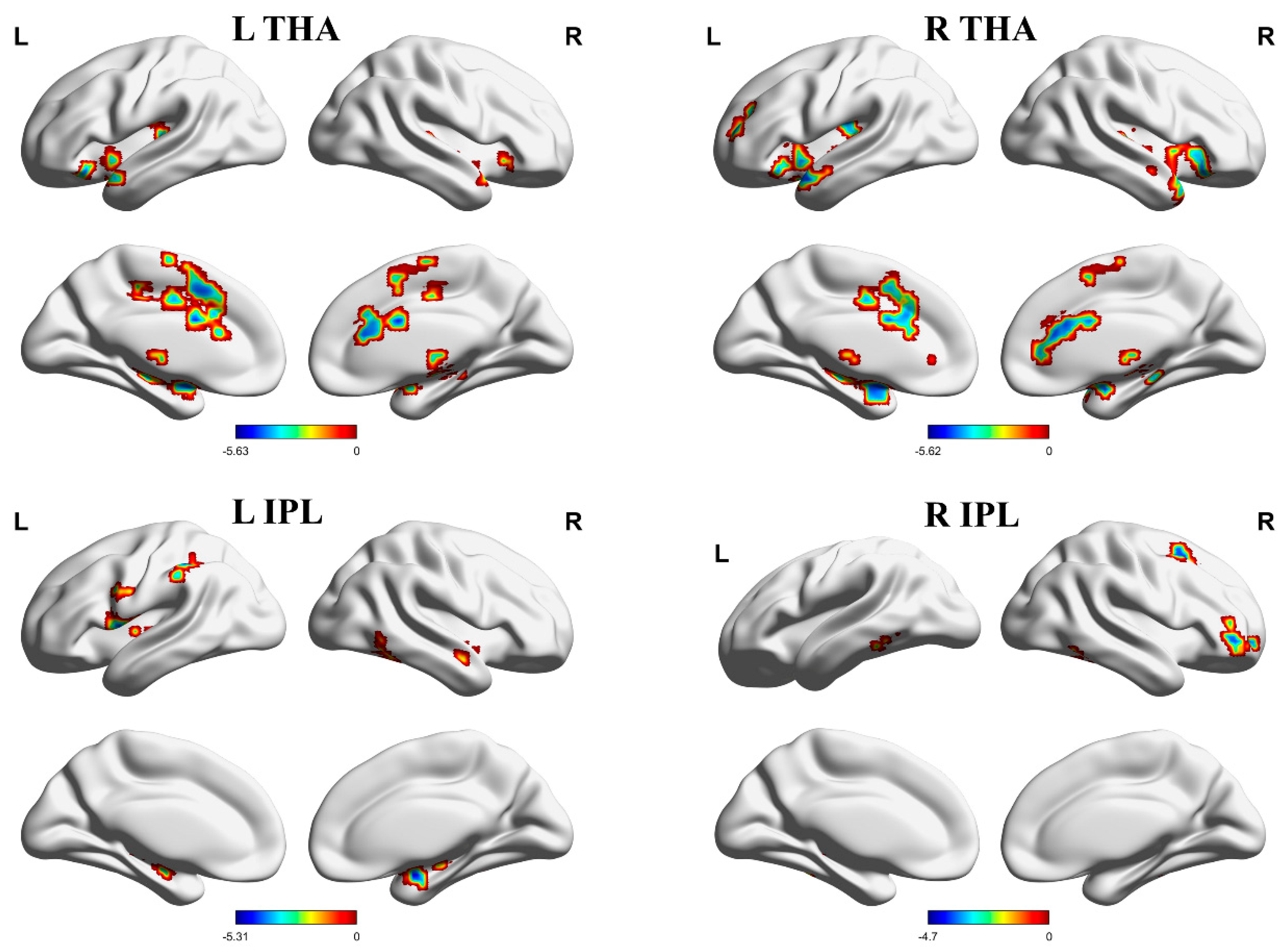 Brainsci 13 01357 g002