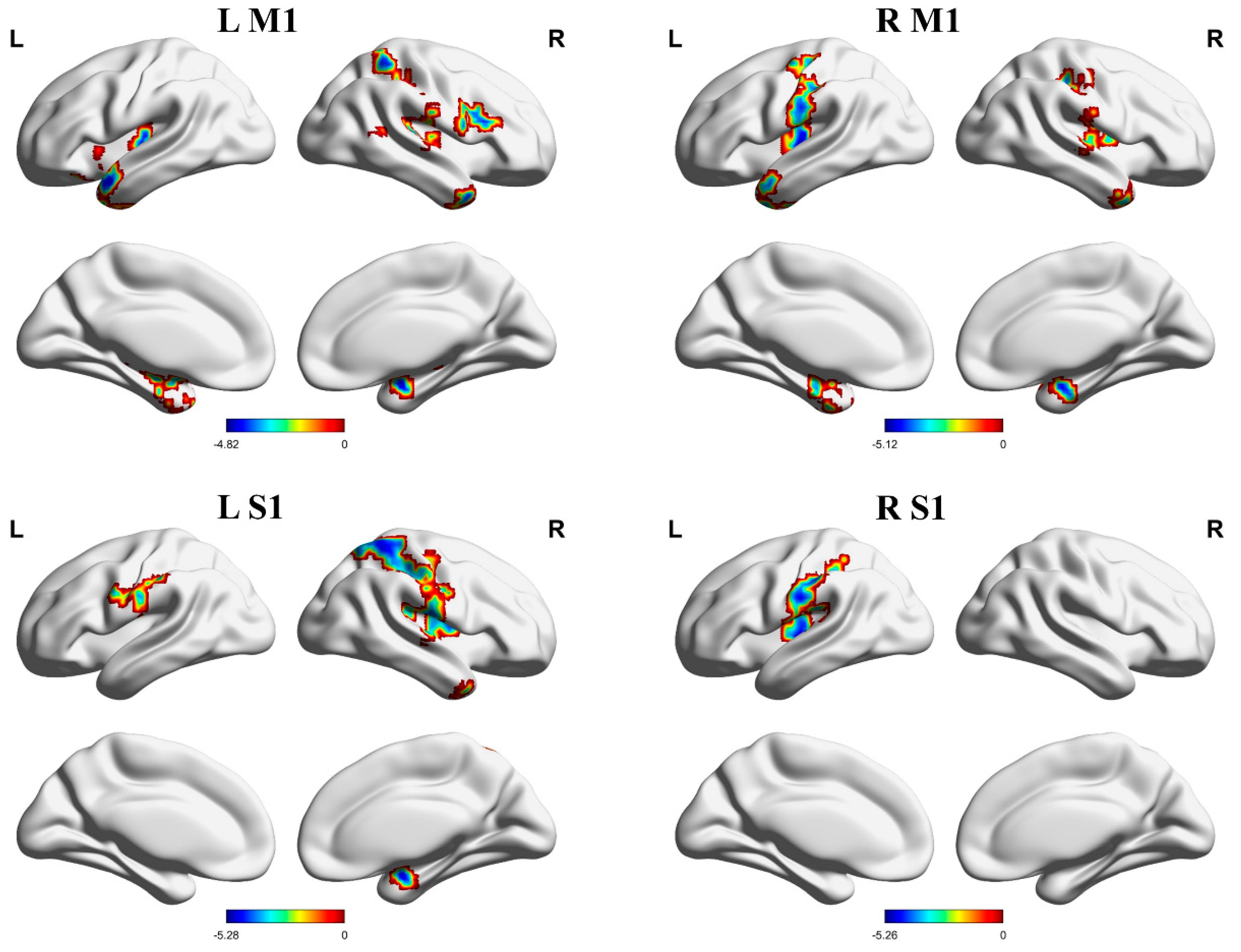 Brainsci 13 01357 g004