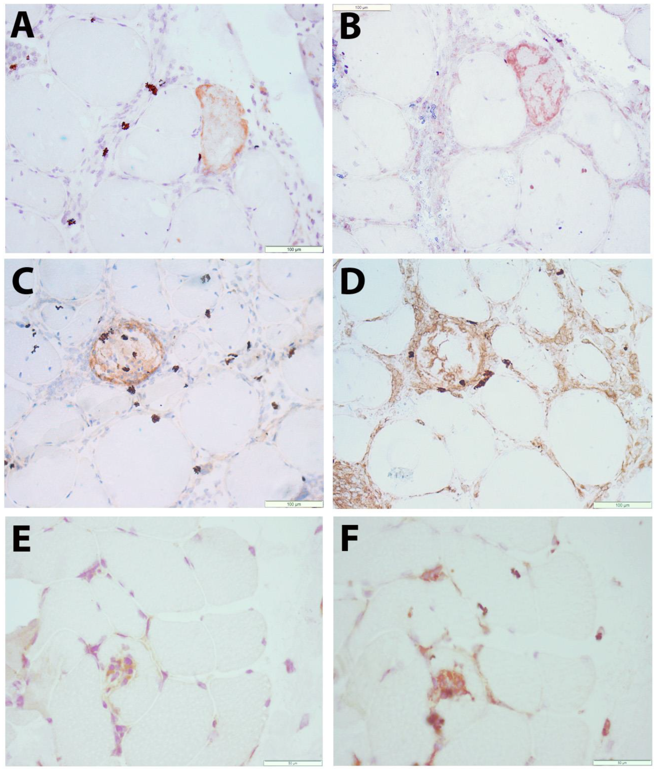 Brainsci 13 01369 g002