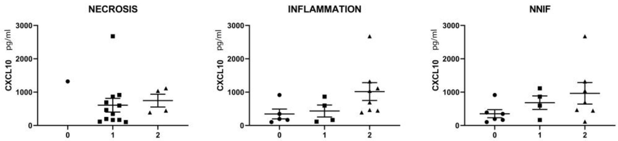 Brainsci 13 01369 g003