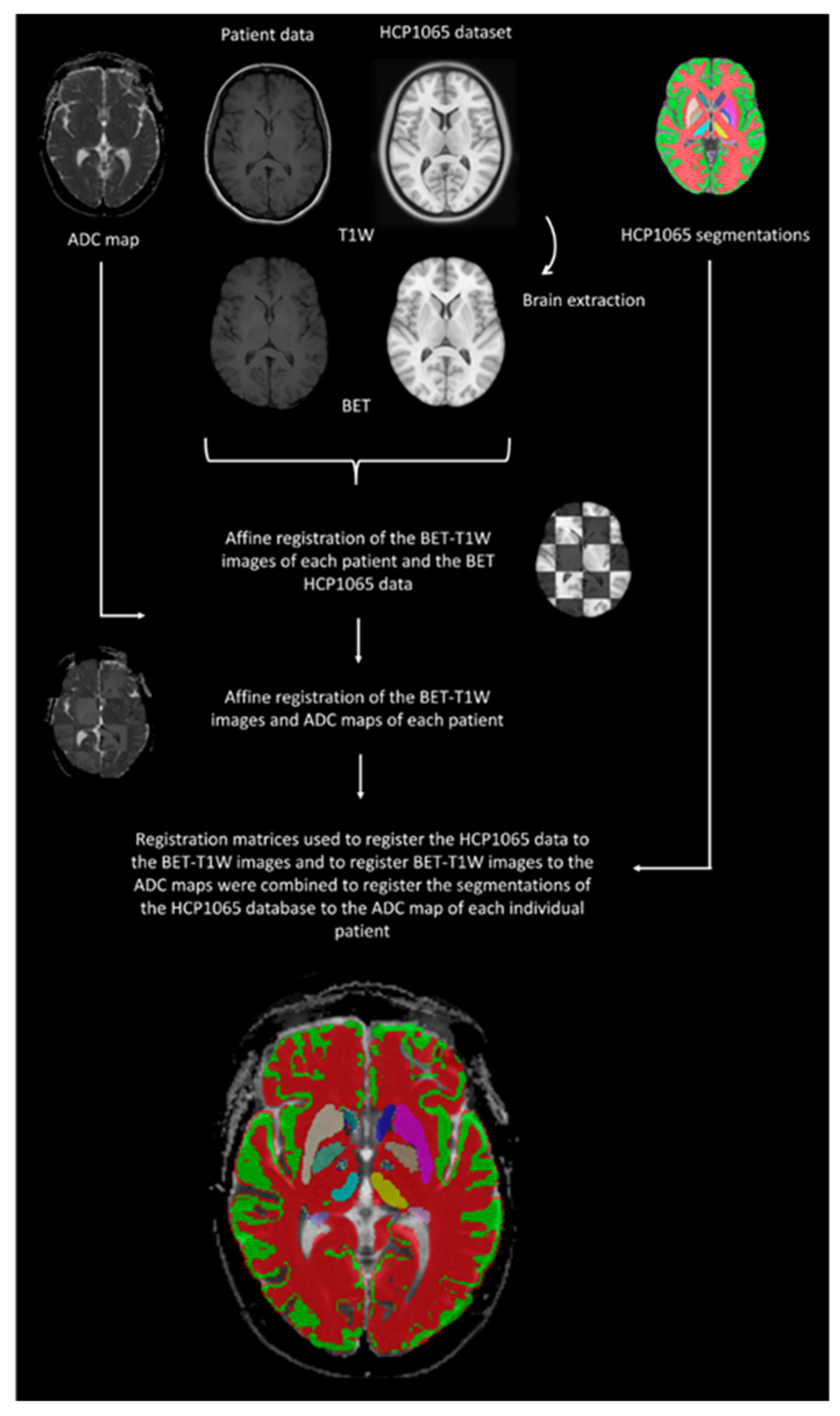 Brainsci 13 01370 g001 Brainsci 13 01370 g001