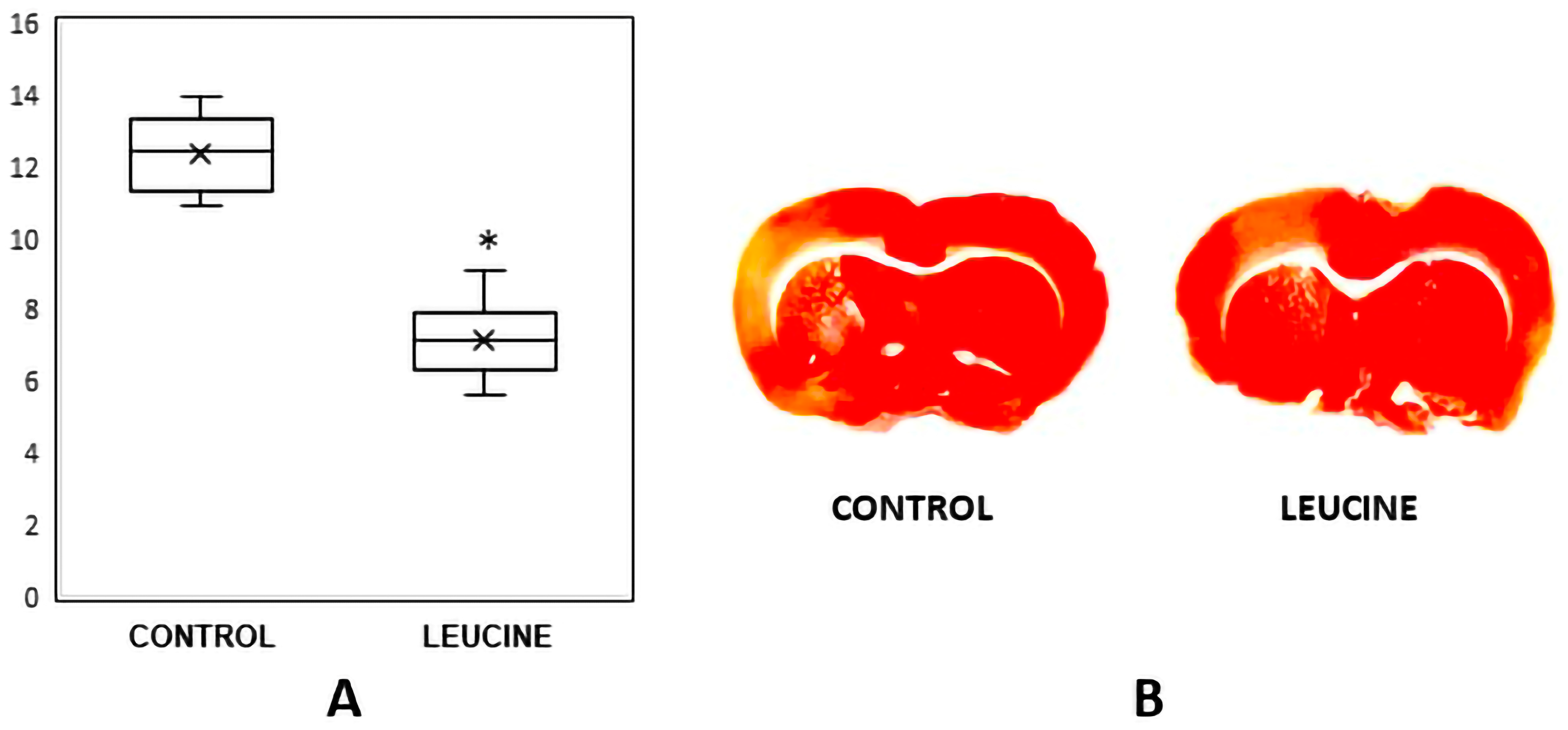 Brainsci 13 01372 g003 Brainsci 13 01372 g003