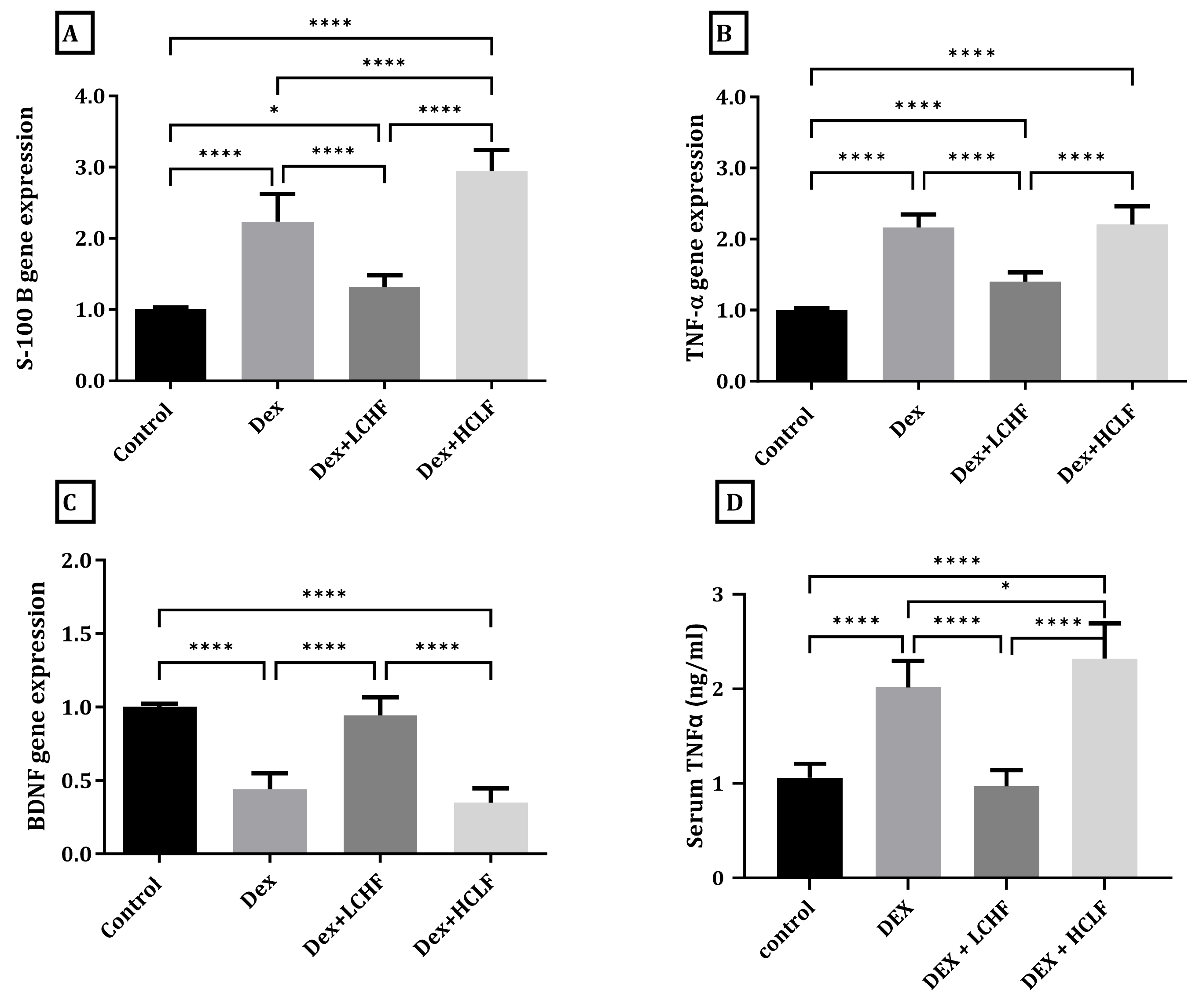 Brainsci 13 01383 g005