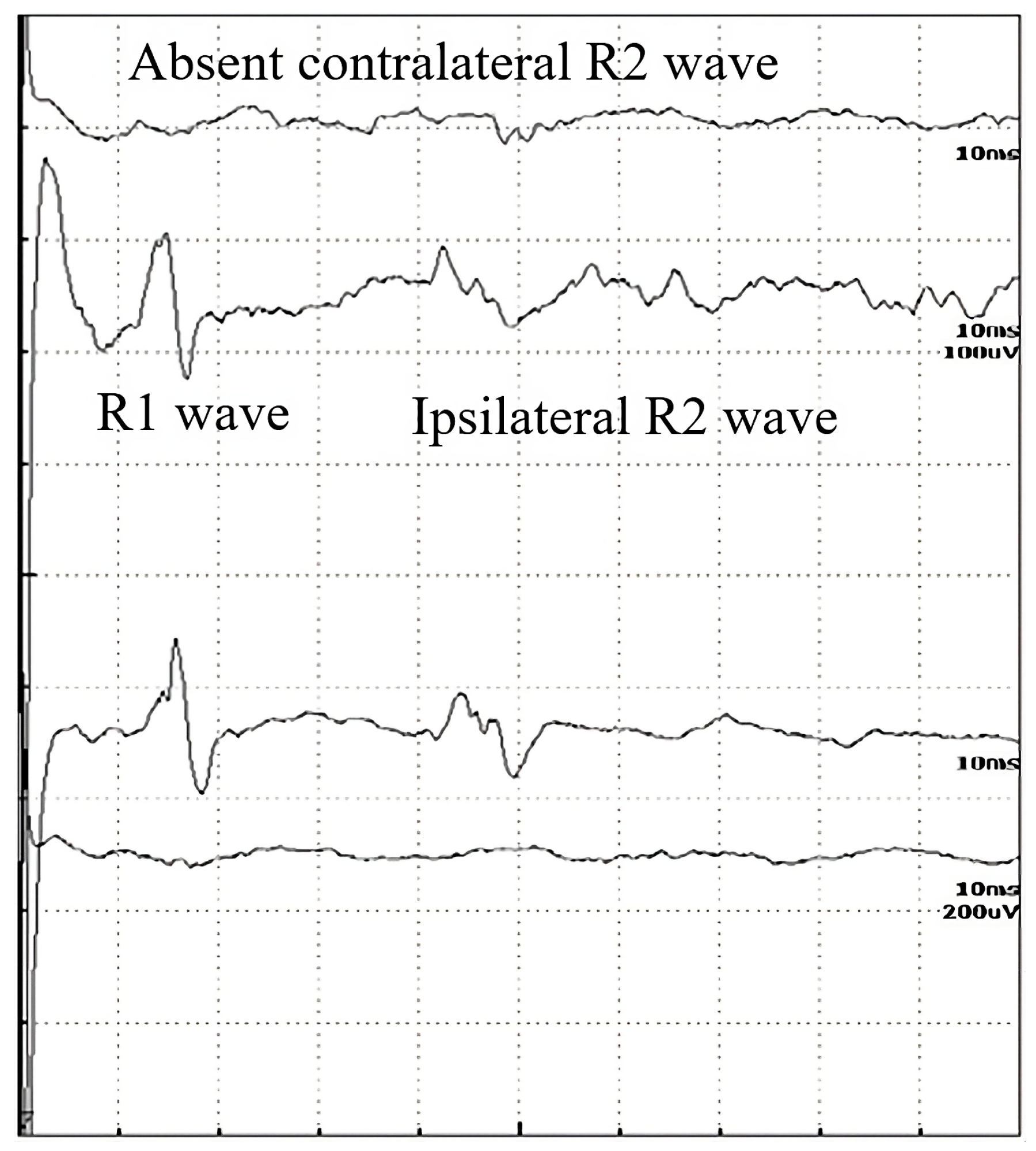 Brainsci 13 01384 g002