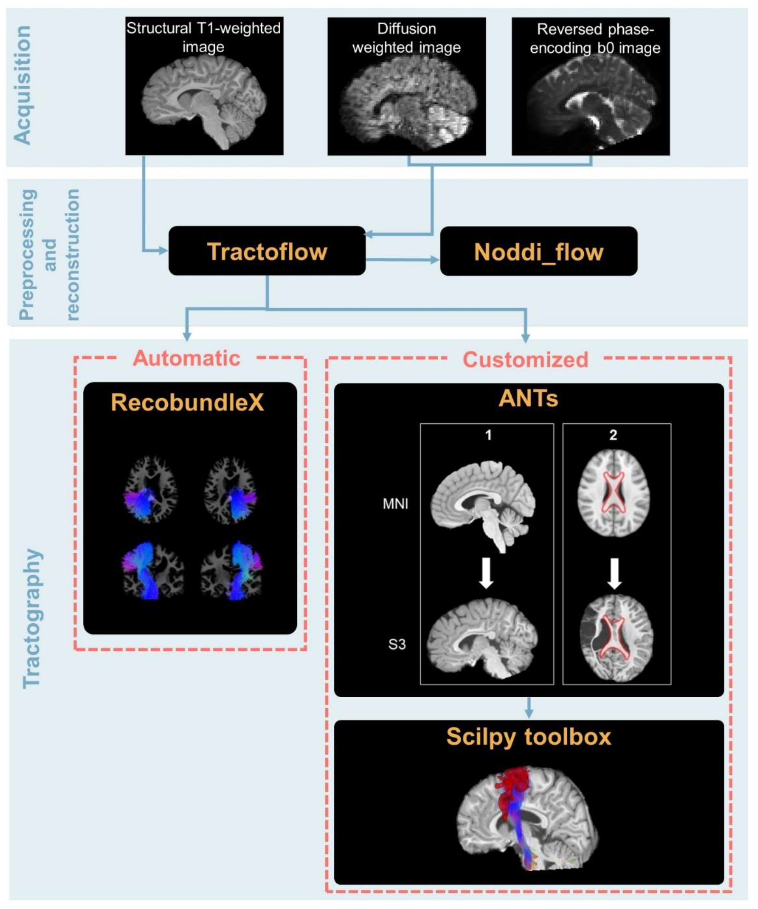 Brainsci 13 01386 g001