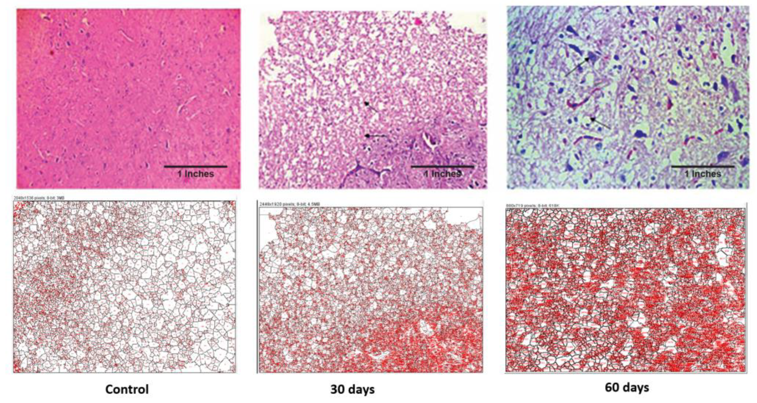 Brainsci 13 01391 g004