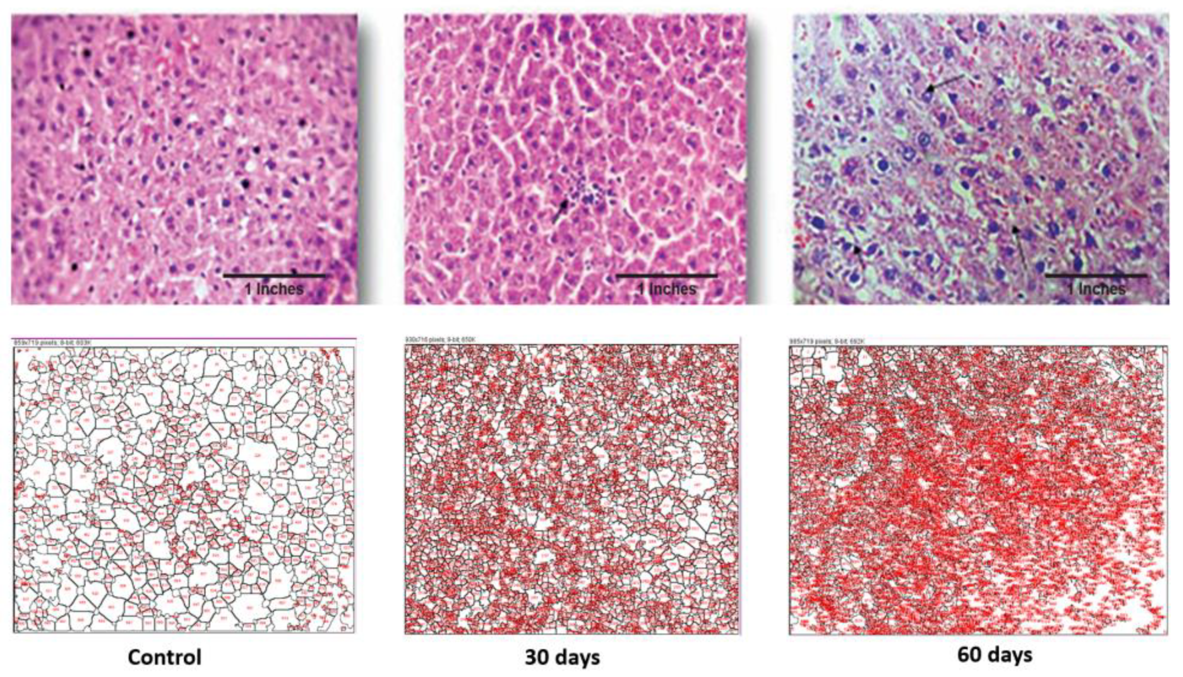 Brainsci 13 01391 g005