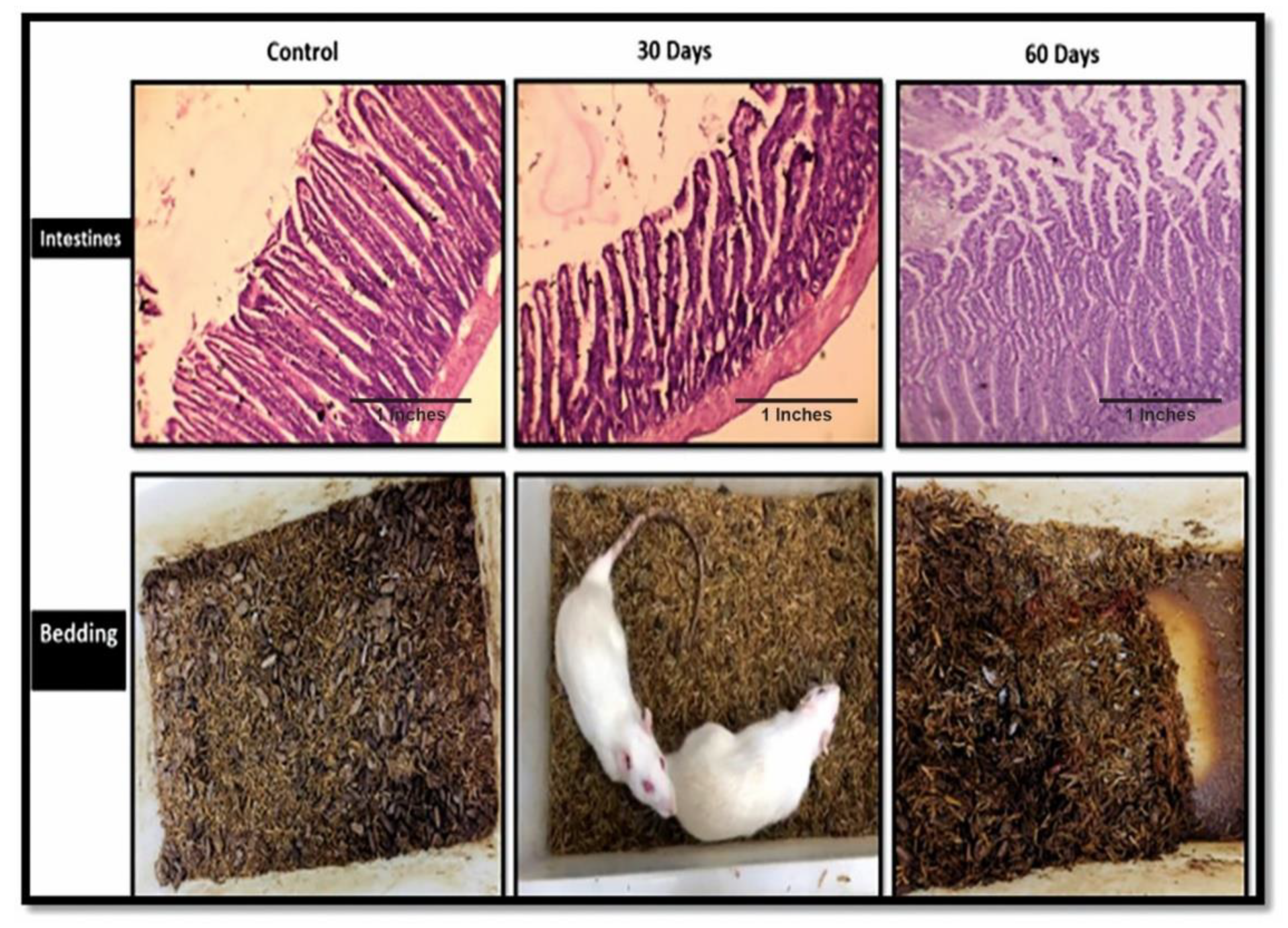 Brainsci 13 01391 g006